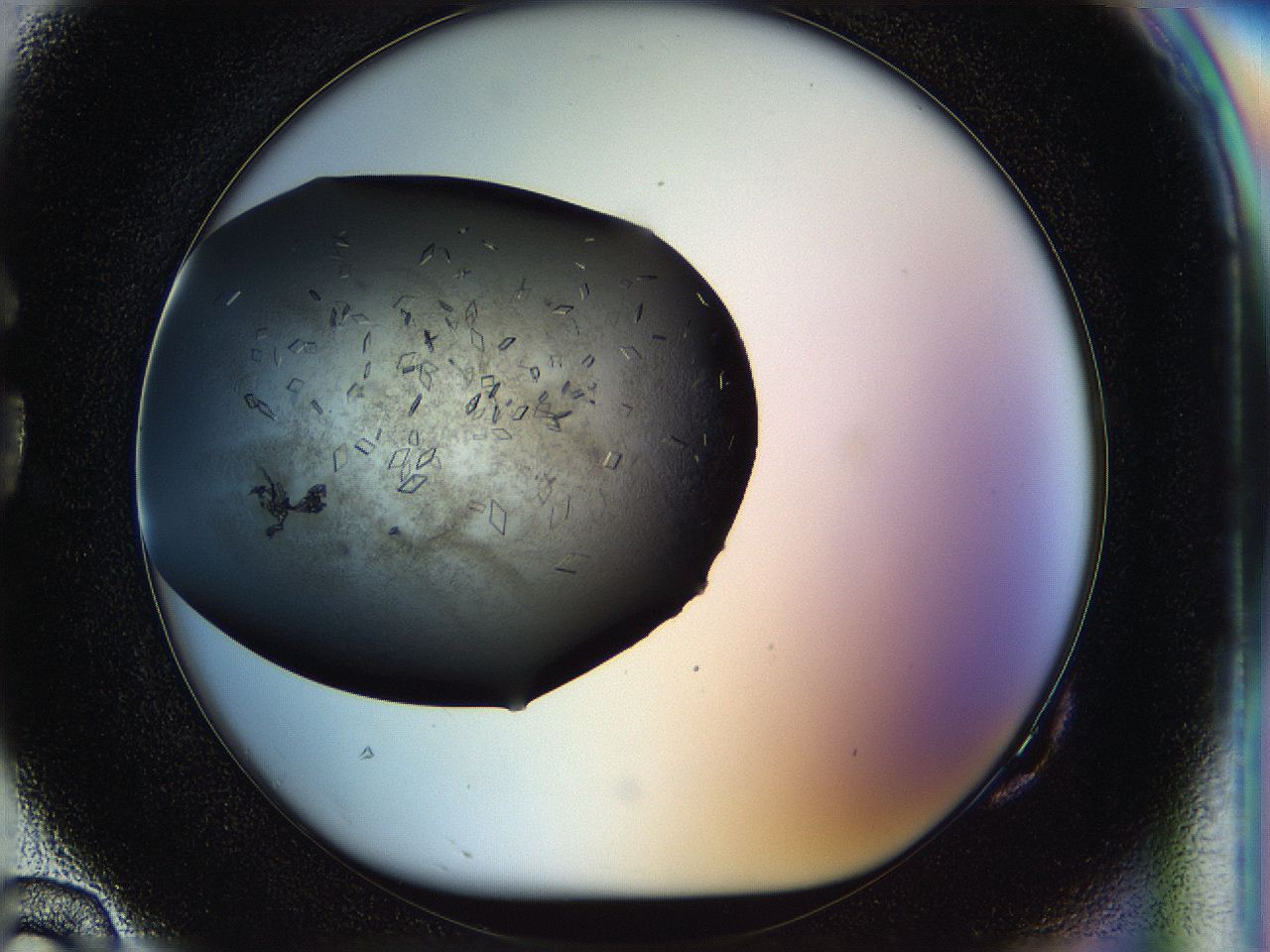 05jp_G10_ImagerDefaults_8.jpg