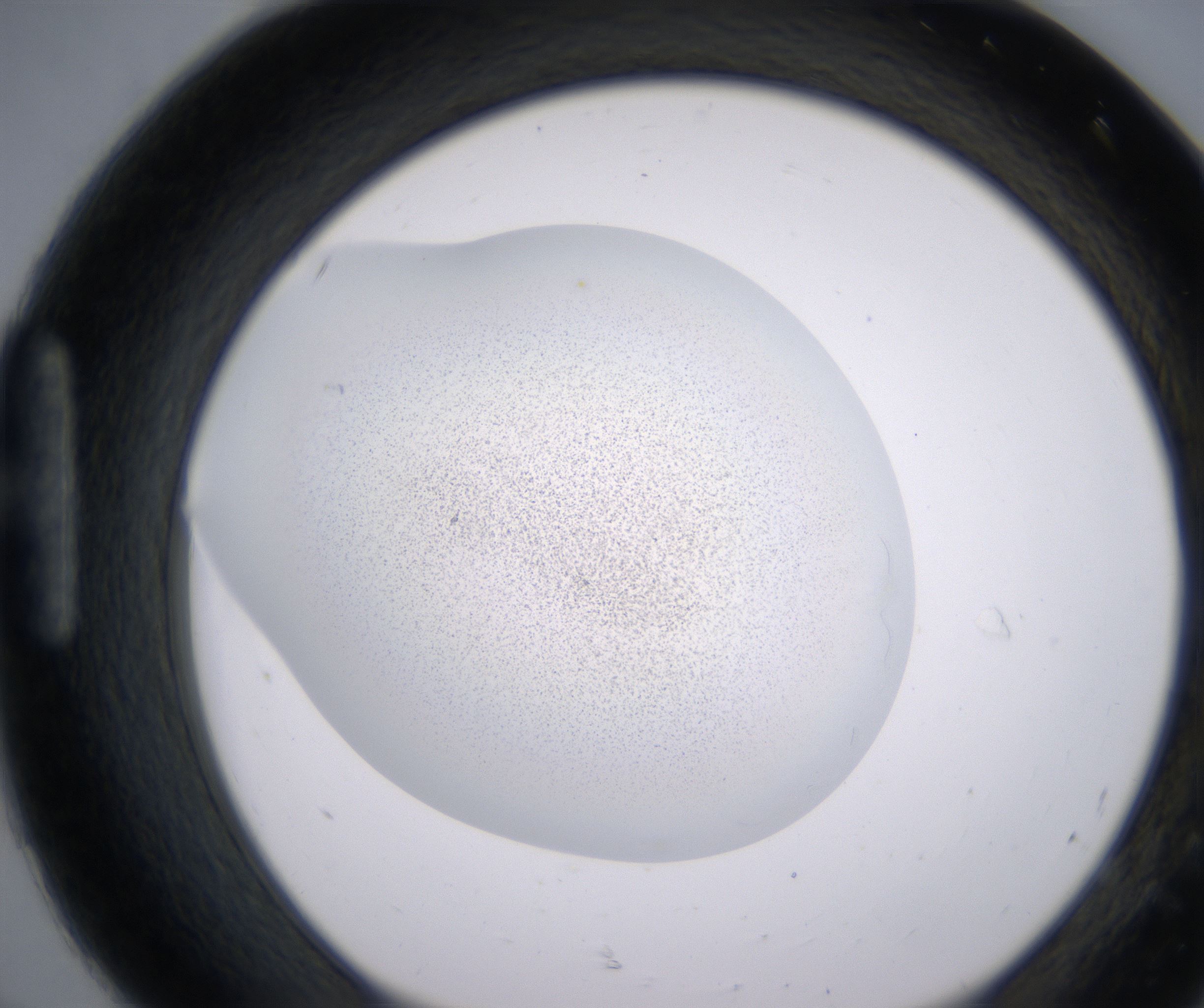H8_HighResolution_Precipitate_1.jpg