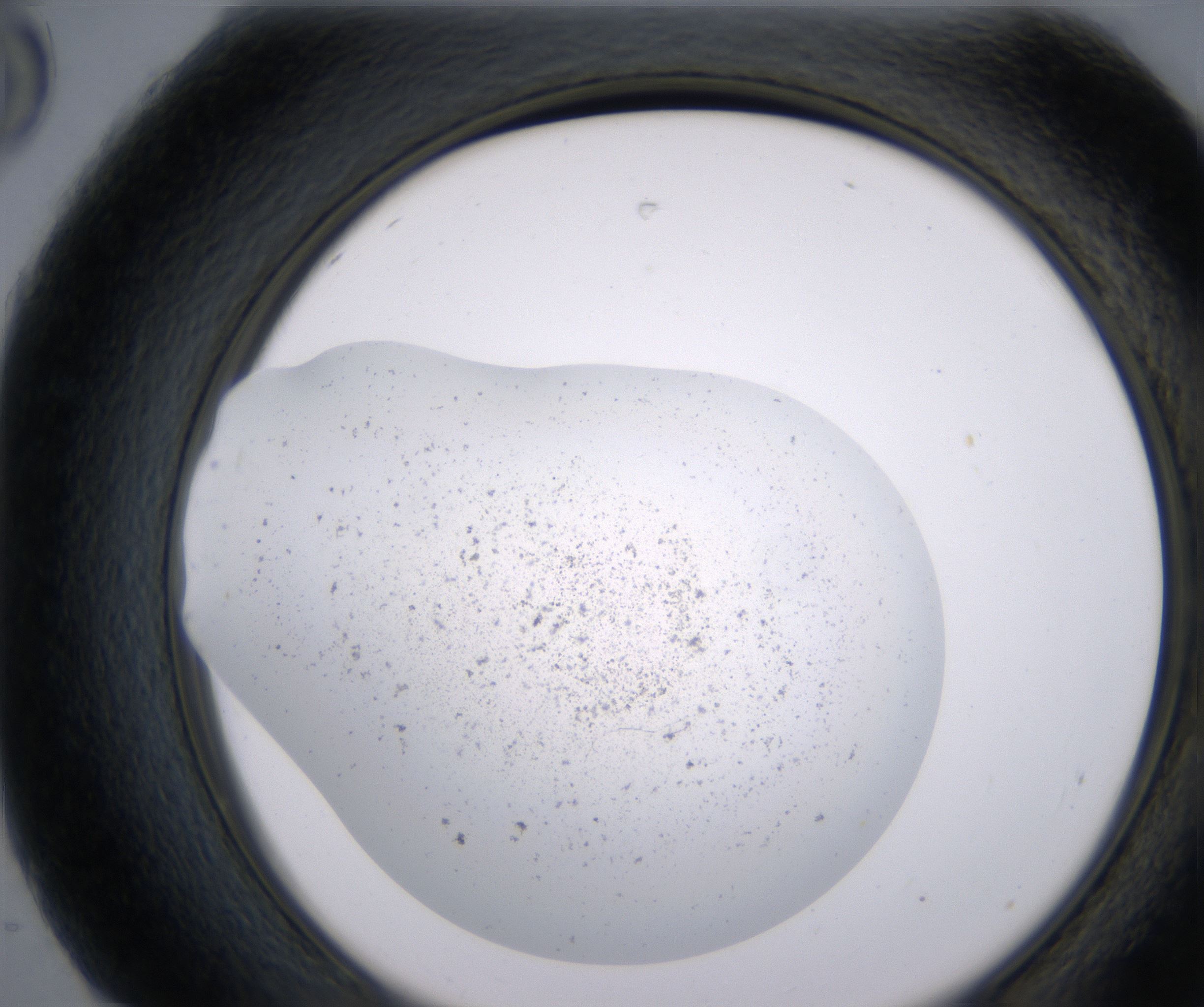 H8_HighResolution_Precipitate_2.jpg