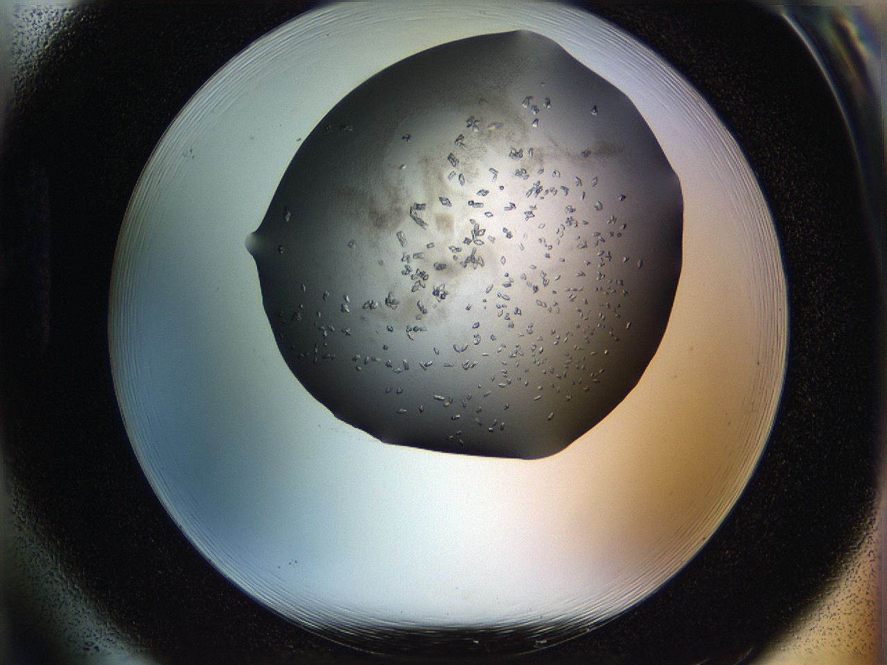 05jp_H1_ImagerDefaults_8.jpg