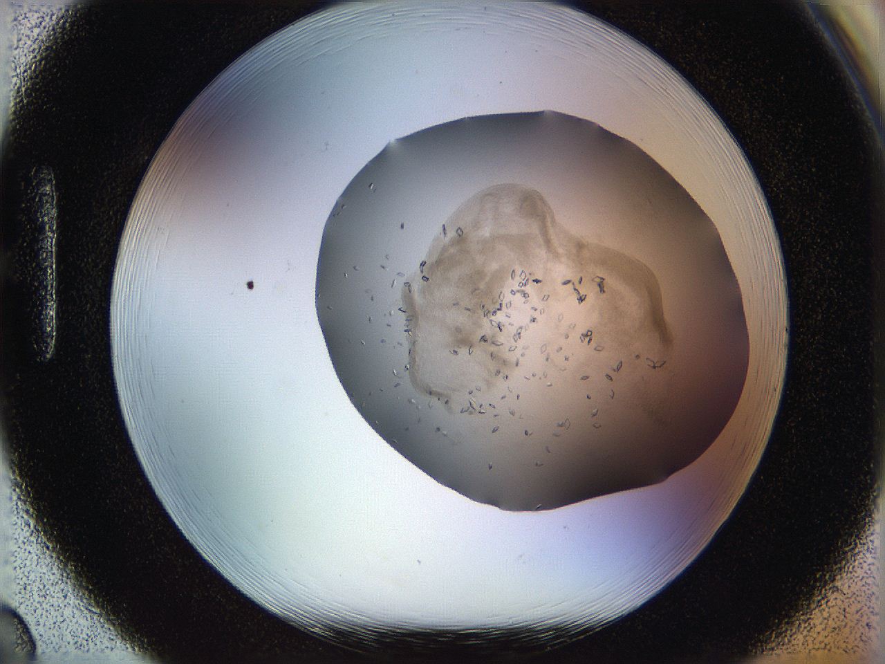 05jp_H2_ImagerDefaults_7.jpg