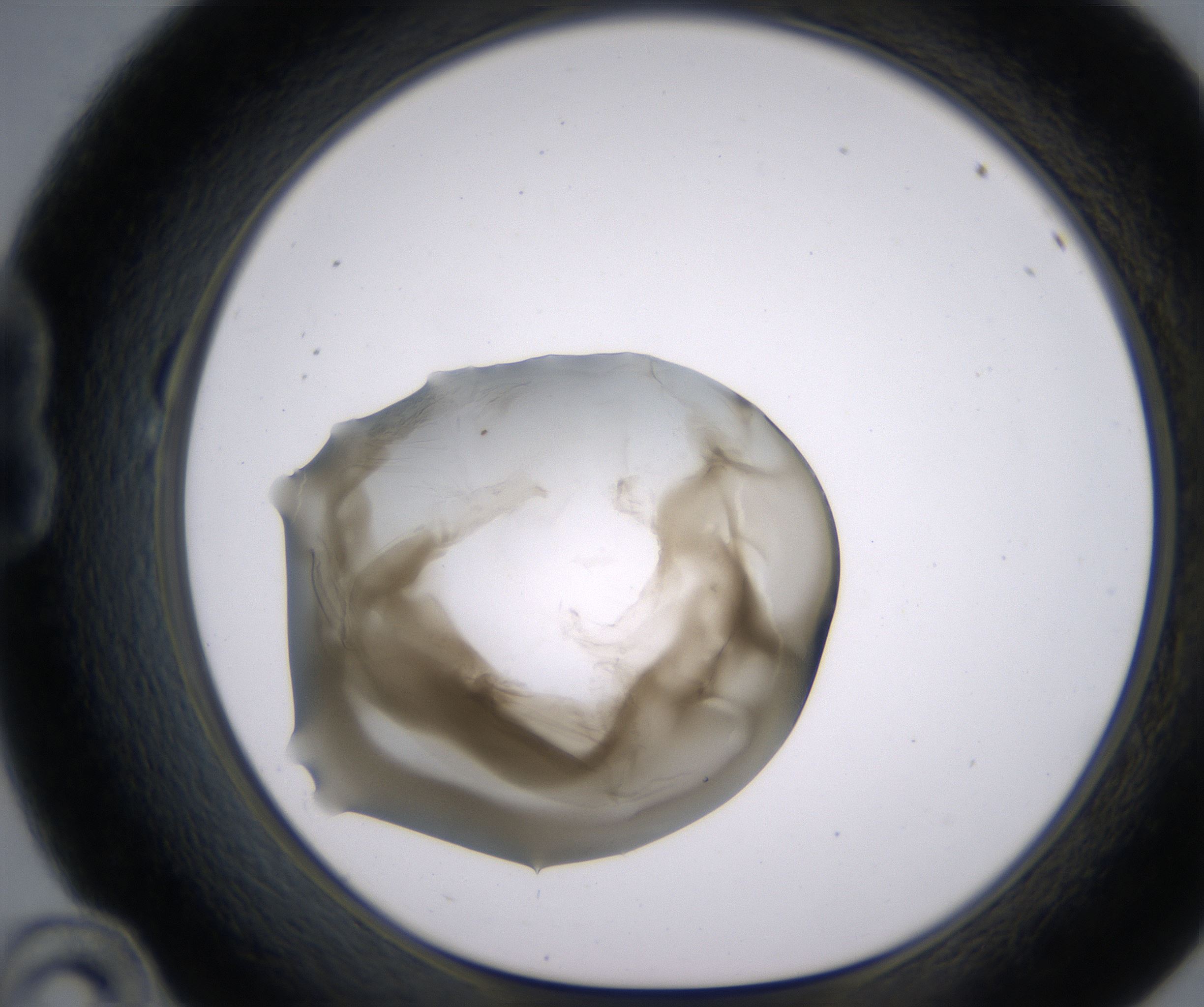 B10_HighResolution_Precipitate_1.jpg
