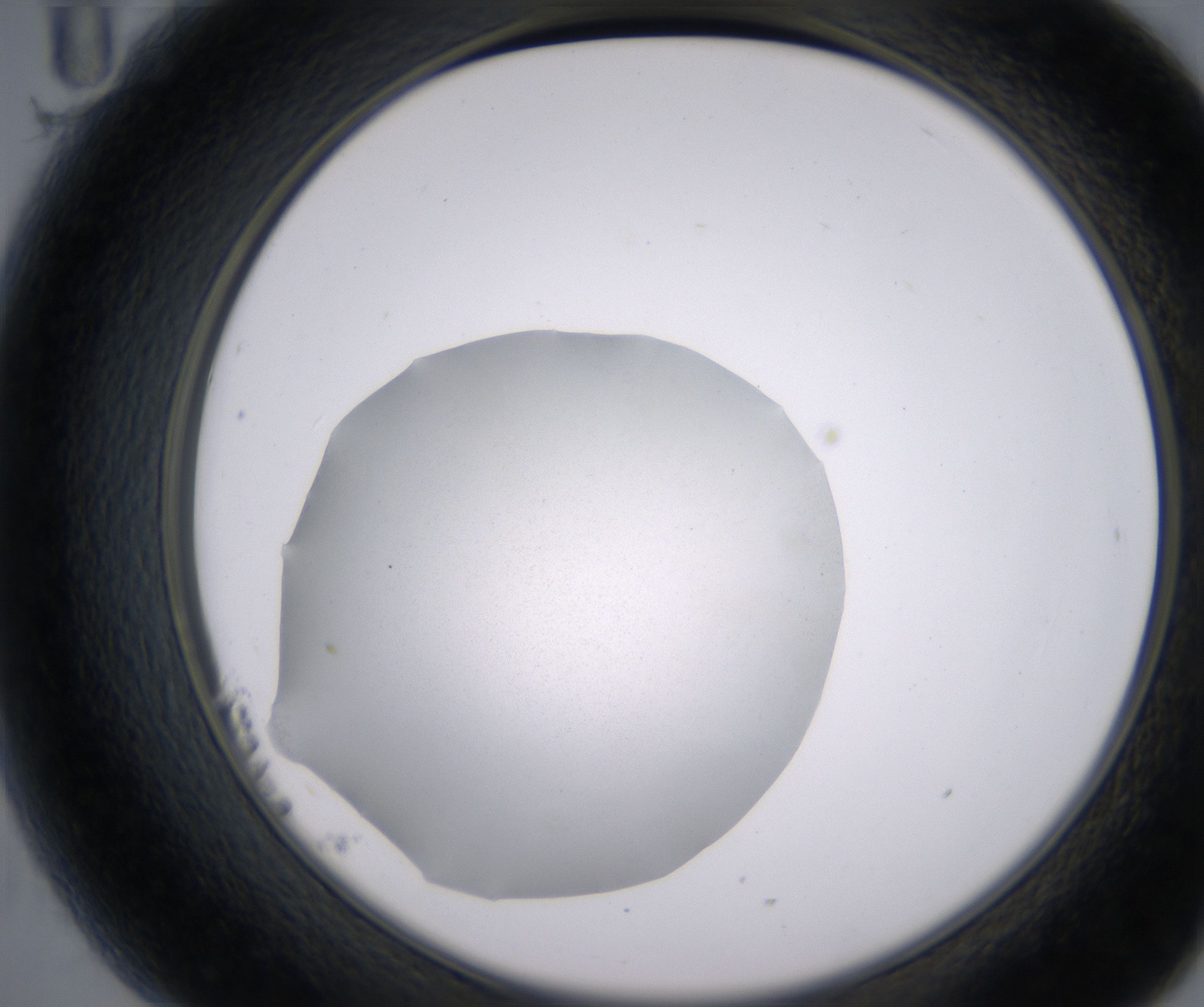 B11_HighResolution_Clear_2.jpg