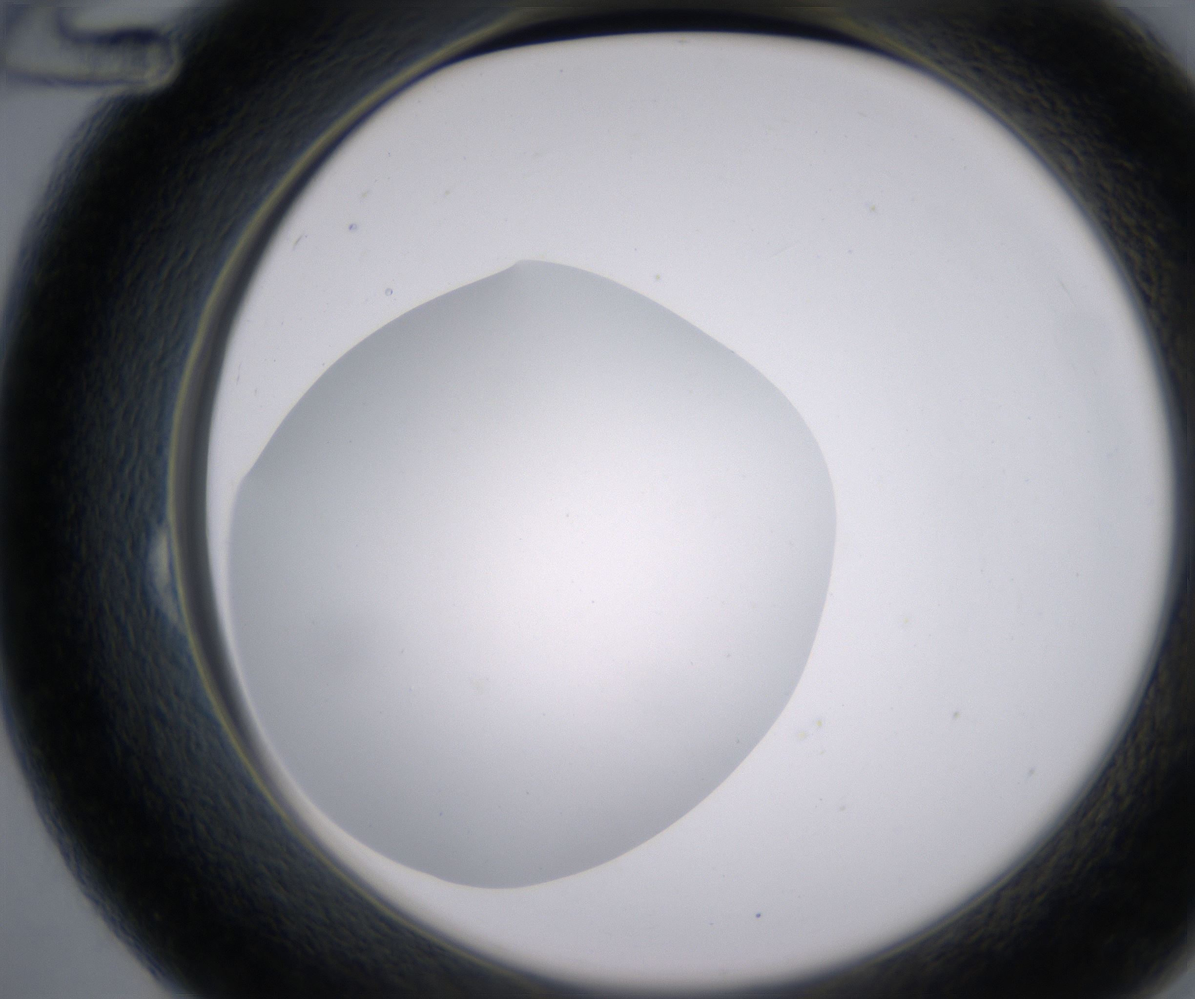B12_HighResolution_Clear_2.jpg