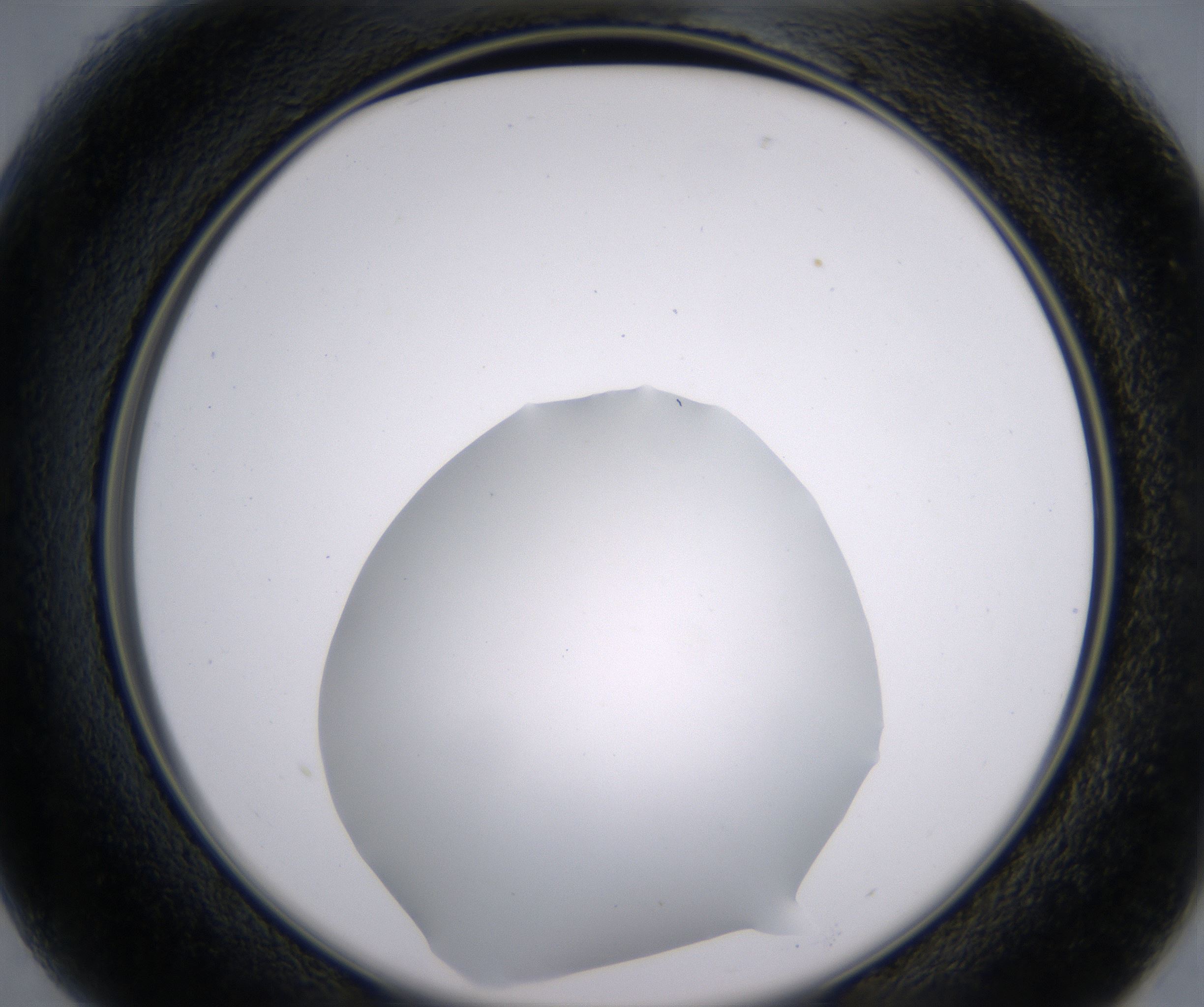 B1_HighResolution_Clear_2.jpg