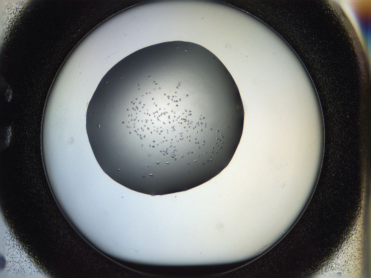 05jq_C5_ImagerDefaults_8.jpg