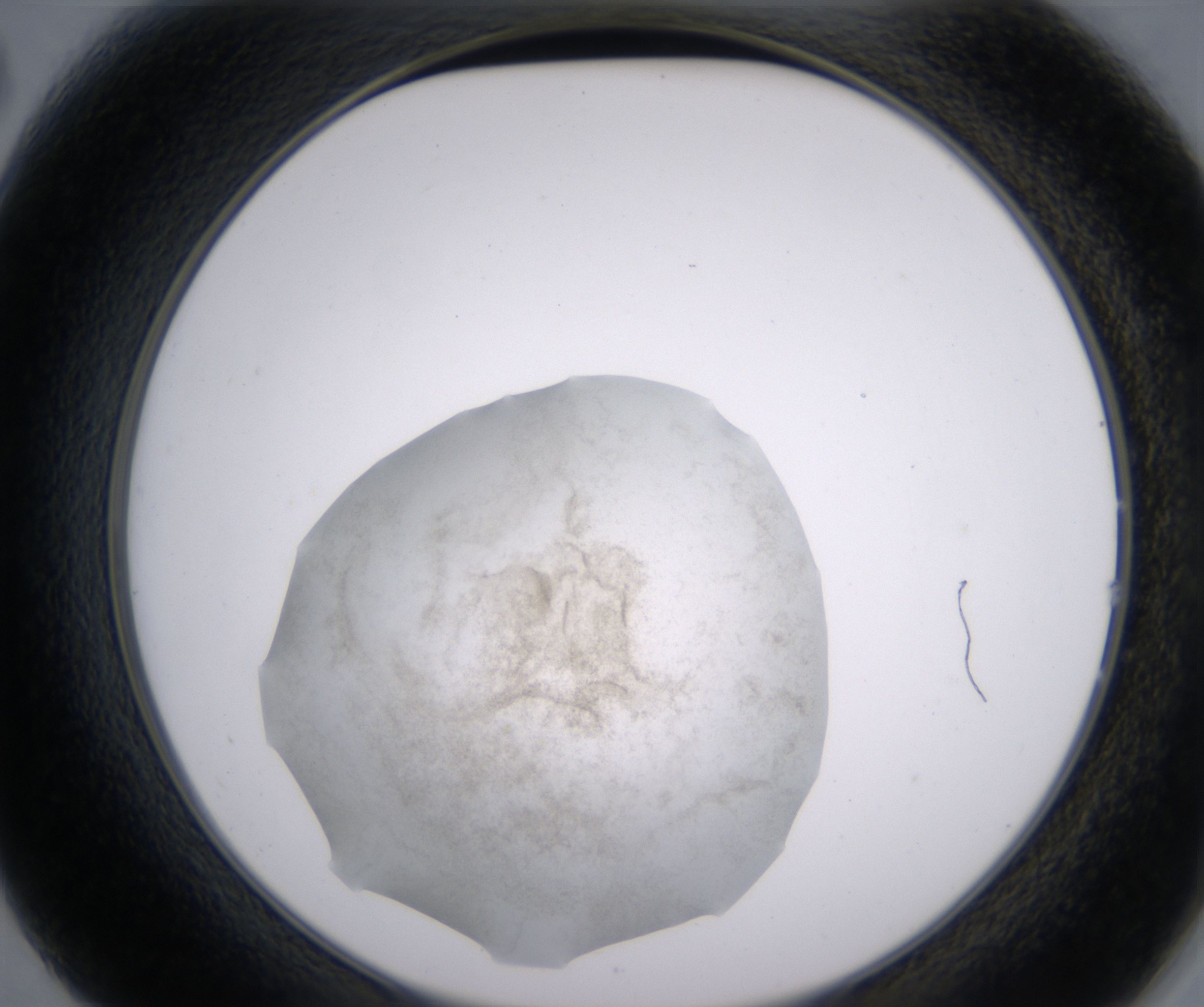 B2_HighResolution_Precipitate_2.jpg