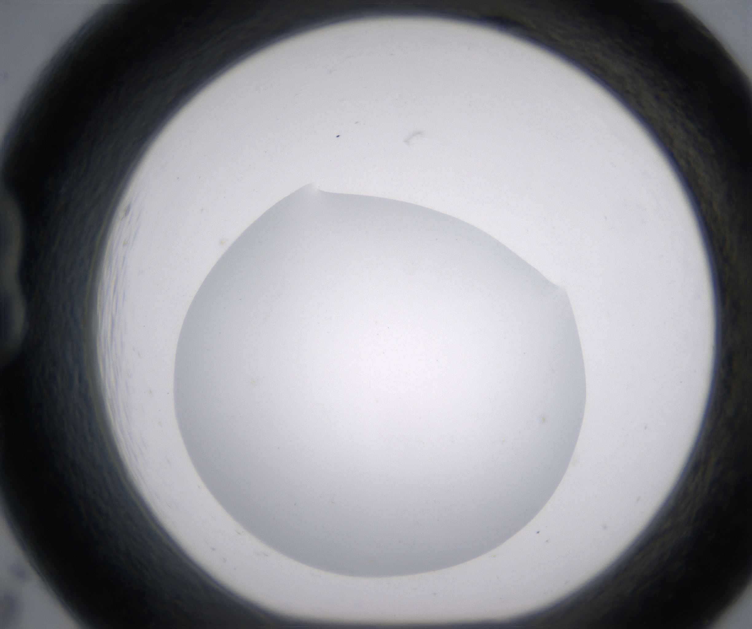 B7_HighResolution_Clear_1.jpg