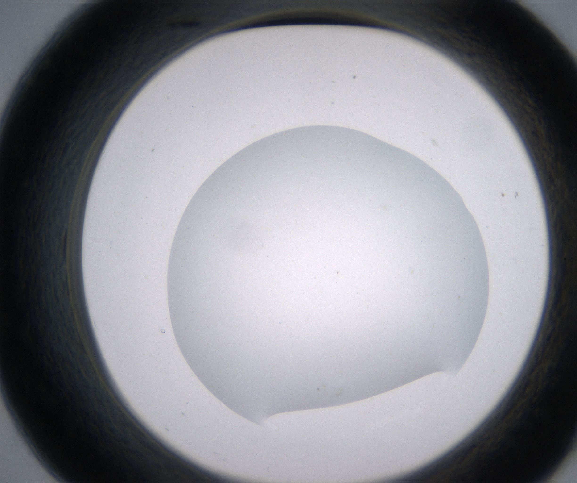 B7_HighResolution_Clear_2.jpg