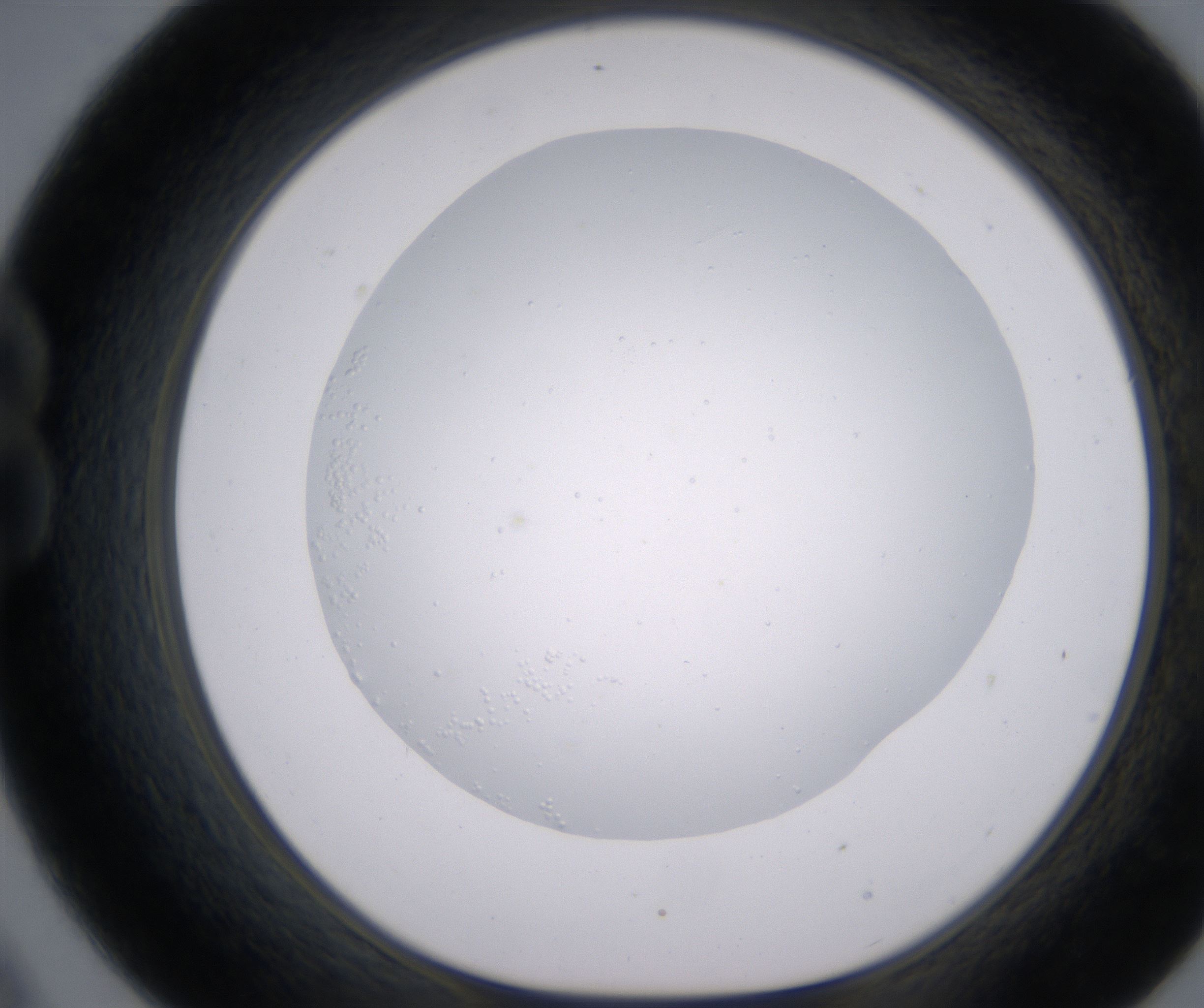 B9_HighResolution_Clear_1.jpg