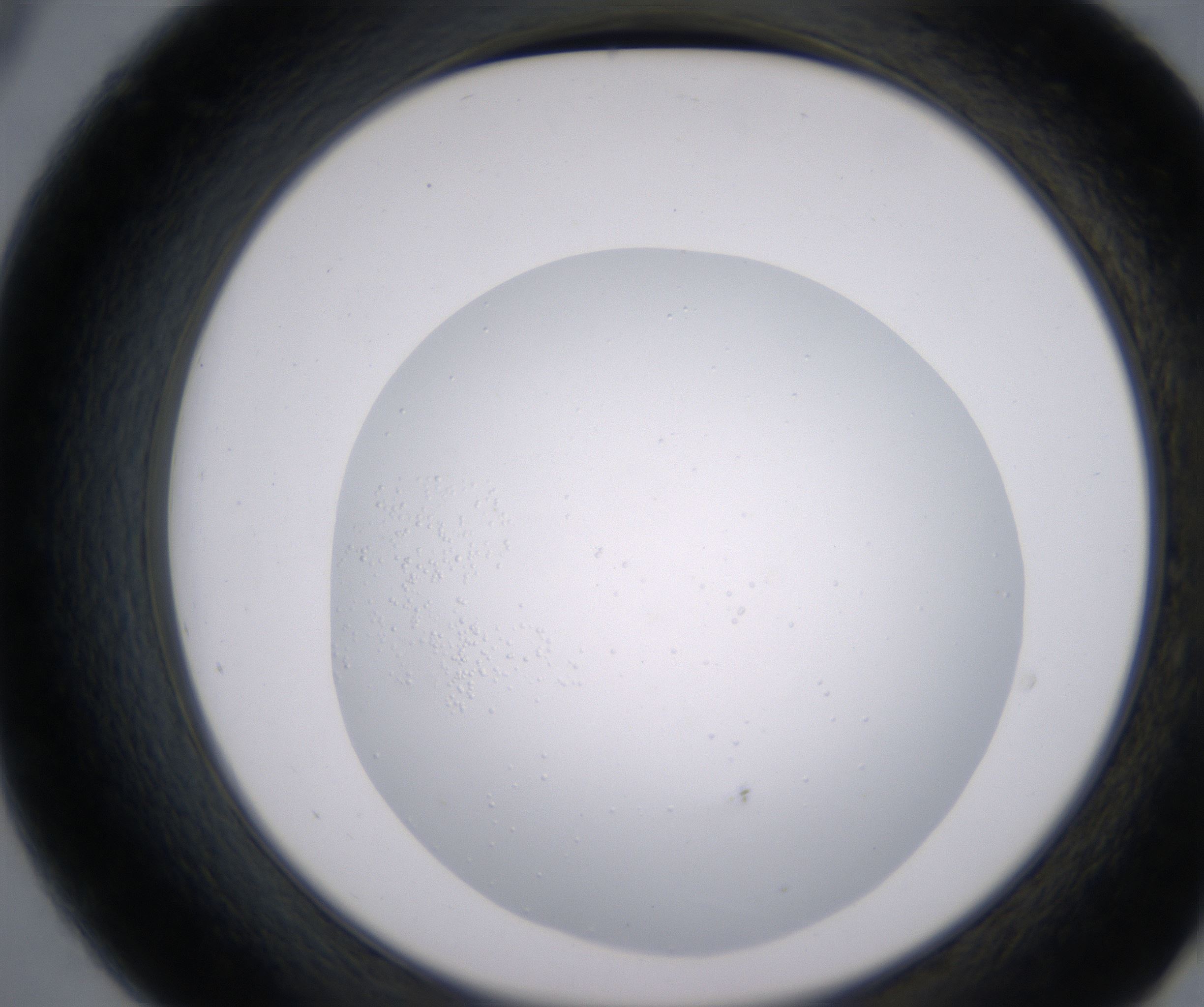 B9_HighResolution_Clear_2.jpg