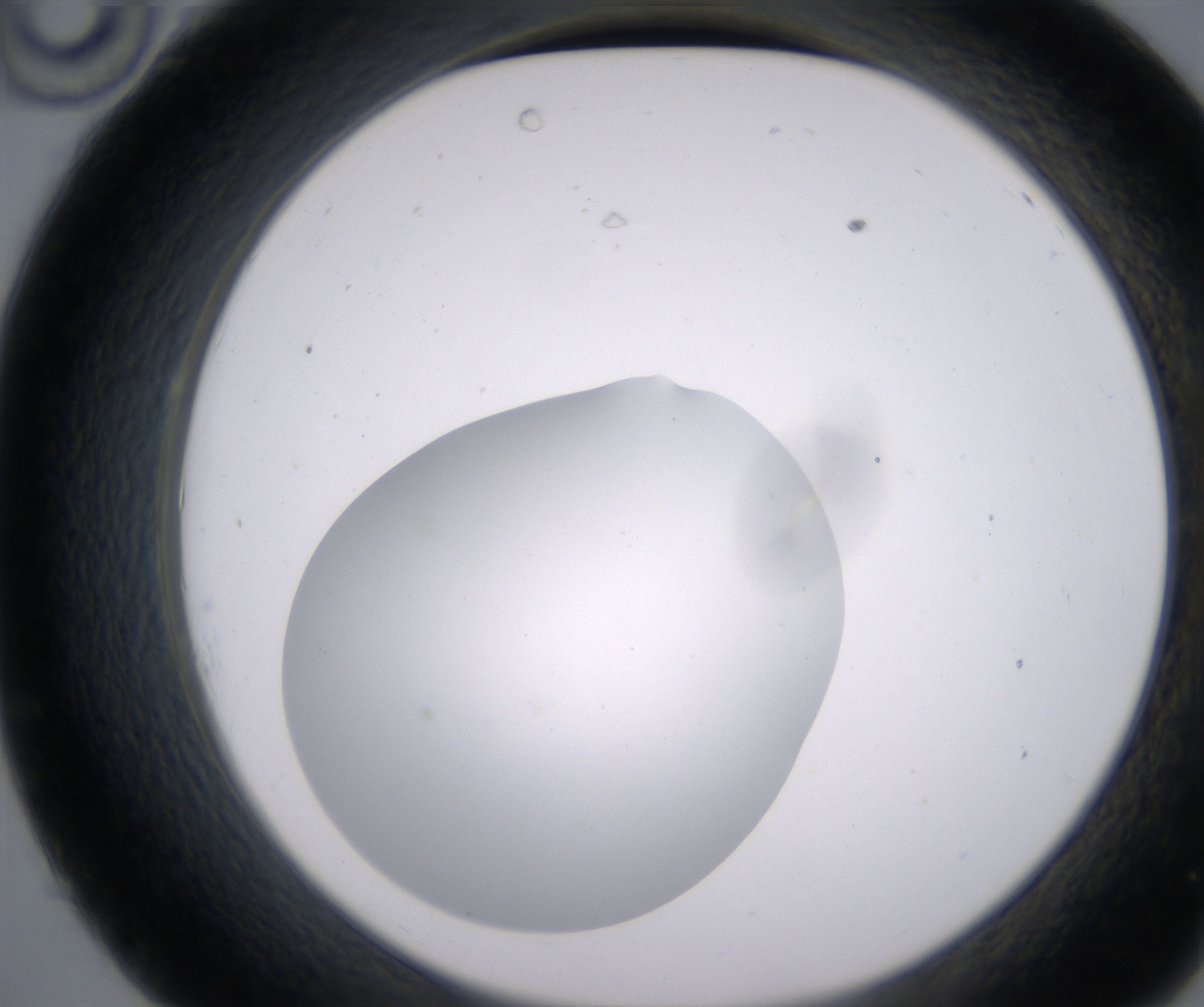 C10_HighResolution_Clear_2.jpg