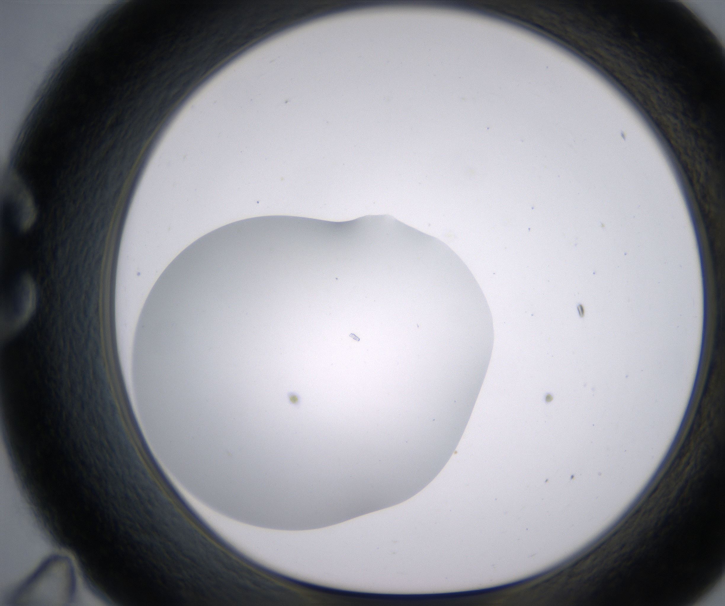 C11_HighResolution_Clear_1.jpg