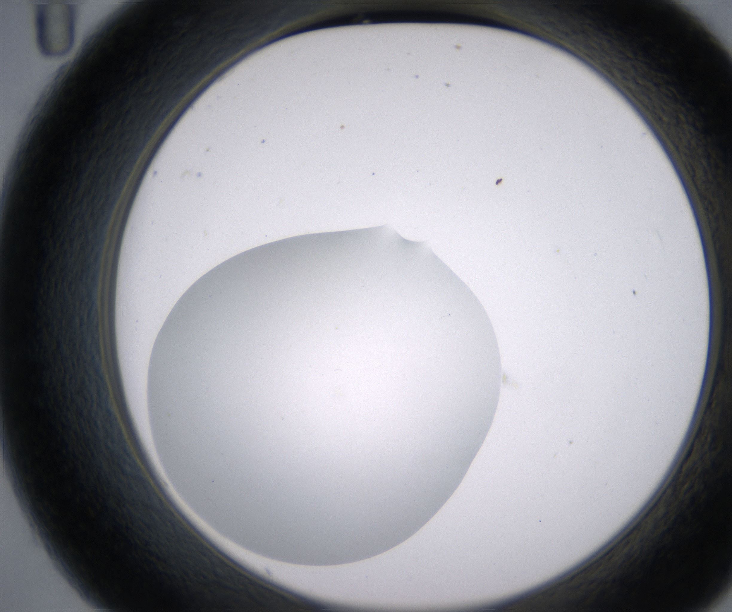C11_HighResolution_Clear_2.jpg