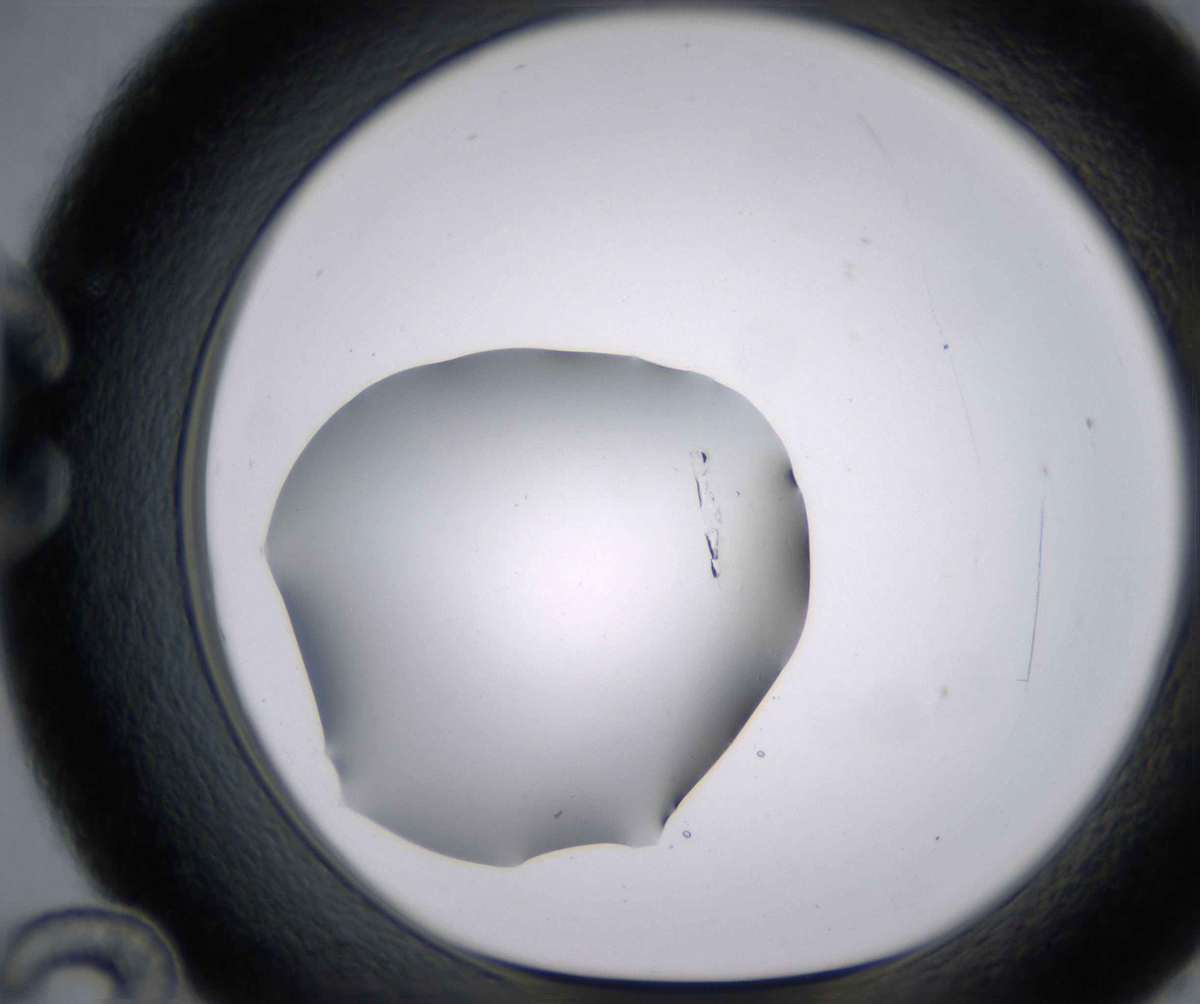 C12_HighResolution_Clear_1.jpg