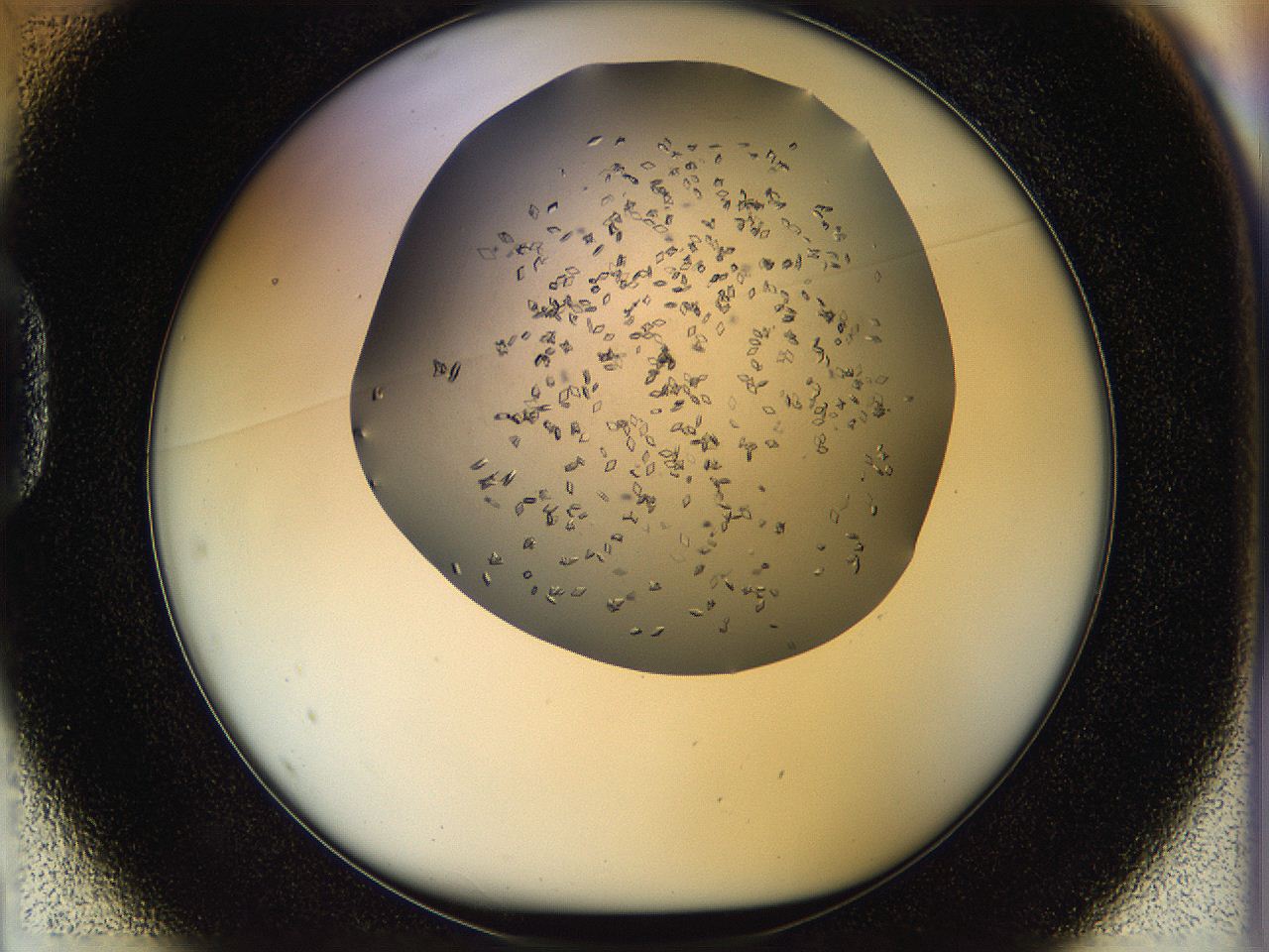 05jq_D1_ImagerDefaults_8.jpg