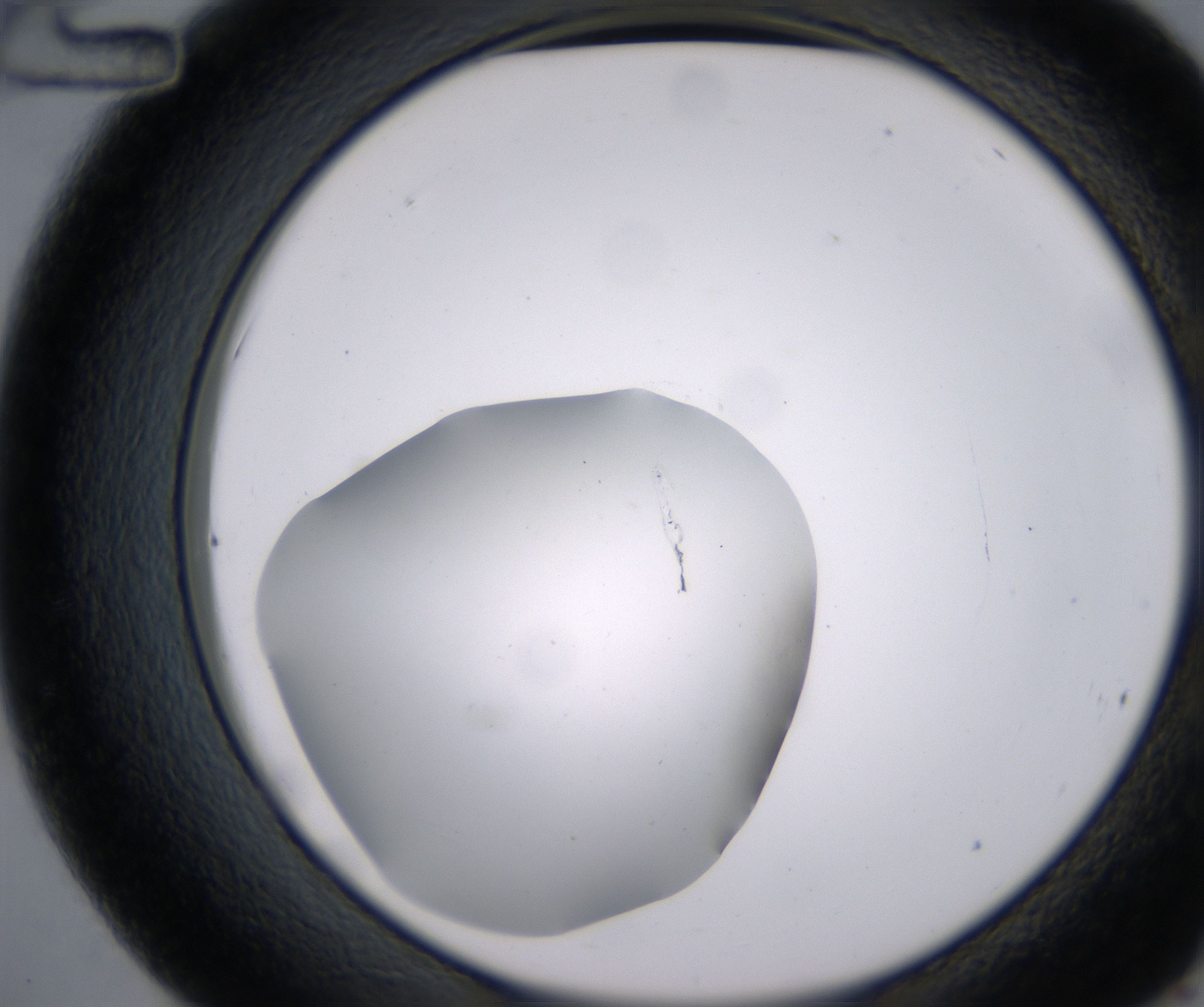 C12_HighResolution_Clear_2.jpg