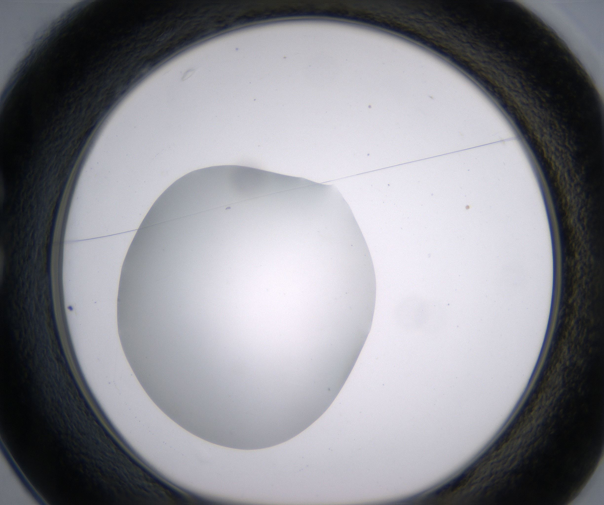 C1_HighResolution_Clear_1.jpg