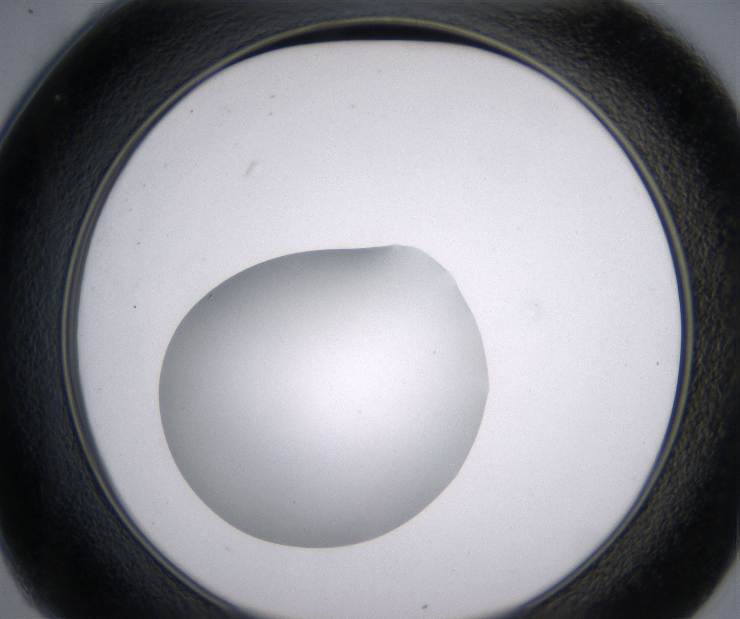 C1_HighResolution_Clear_2.jpg