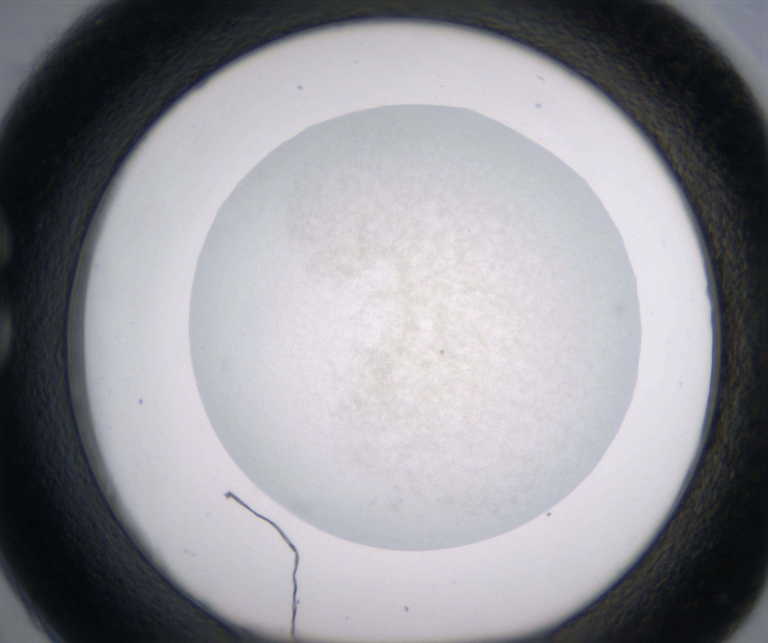 C2_HighResolution_Precipitate_1.jpg
