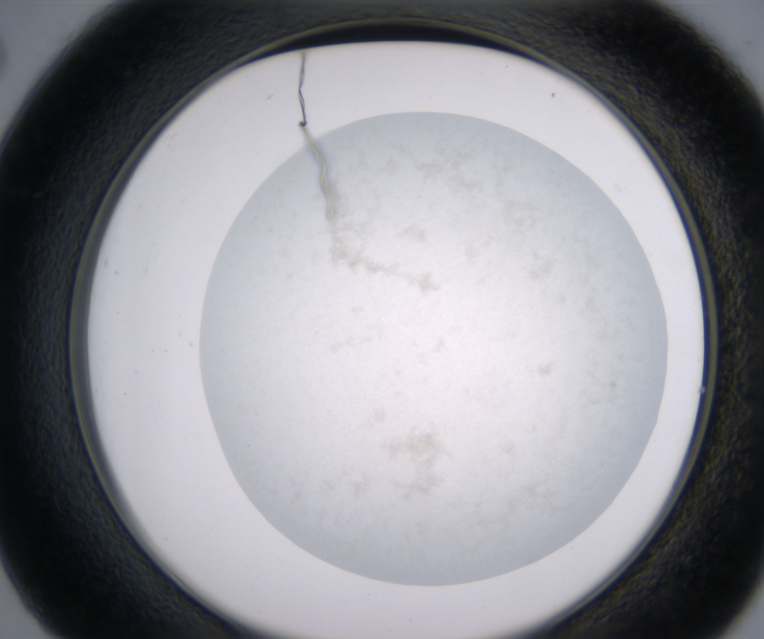 C2_HighResolution_Precipitate_2.jpg