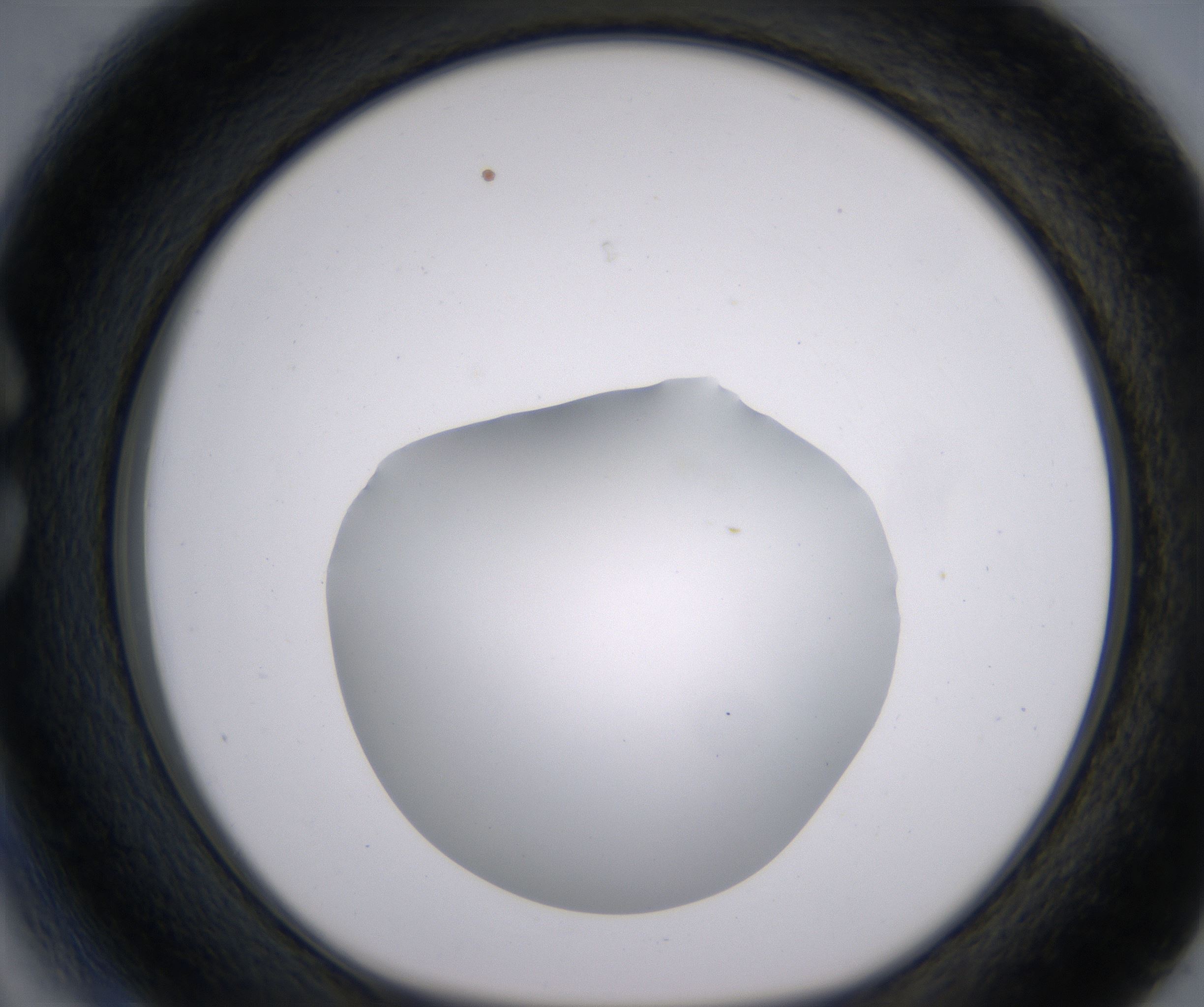C3_HighResolution_Clear_1.jpg