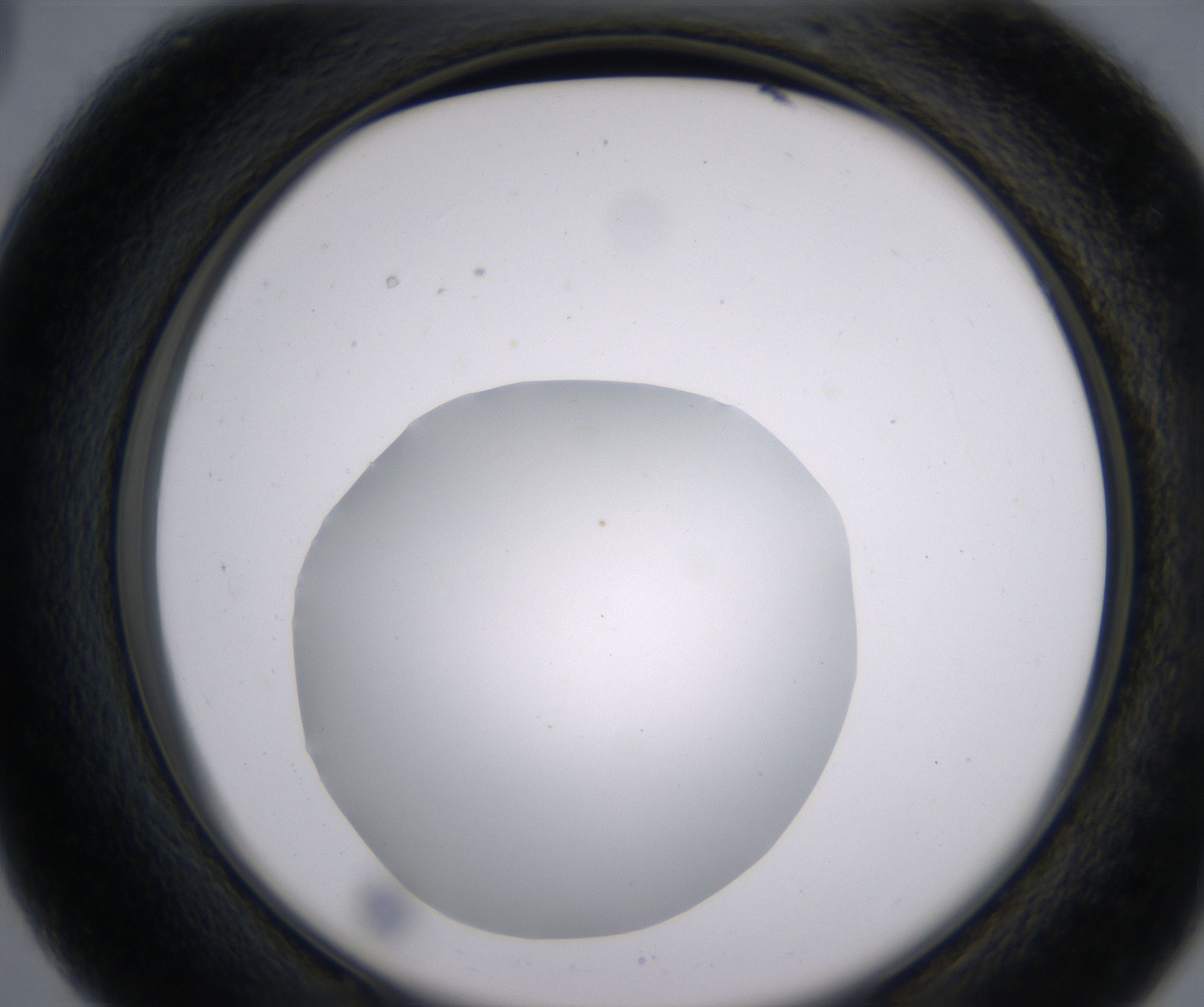 C3_HighResolution_Clear_2.jpg
