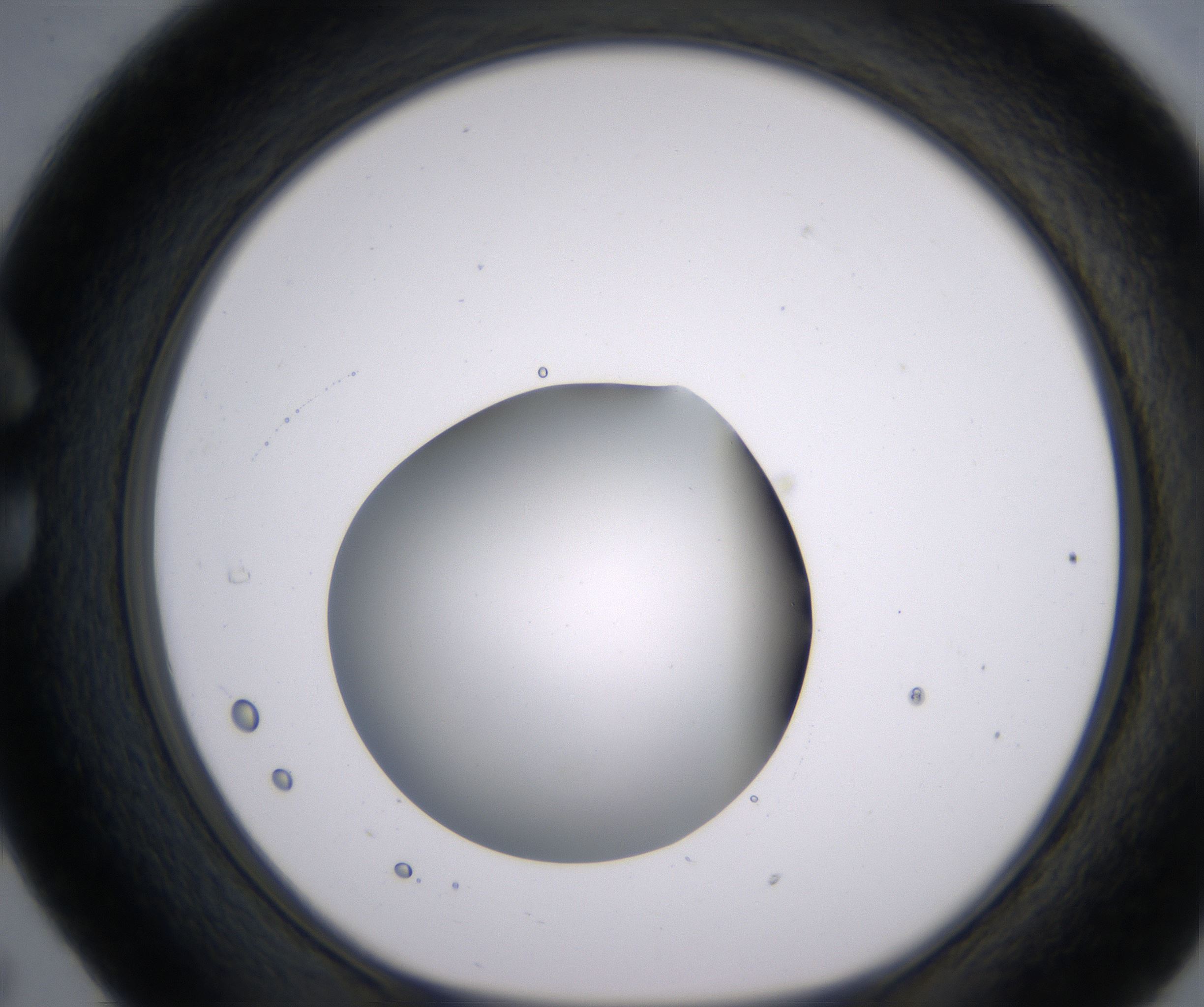 C5_HighResolution_Clear_1.jpg