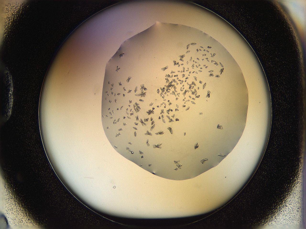 05jq_D2_ImagerDefaults_8.jpg