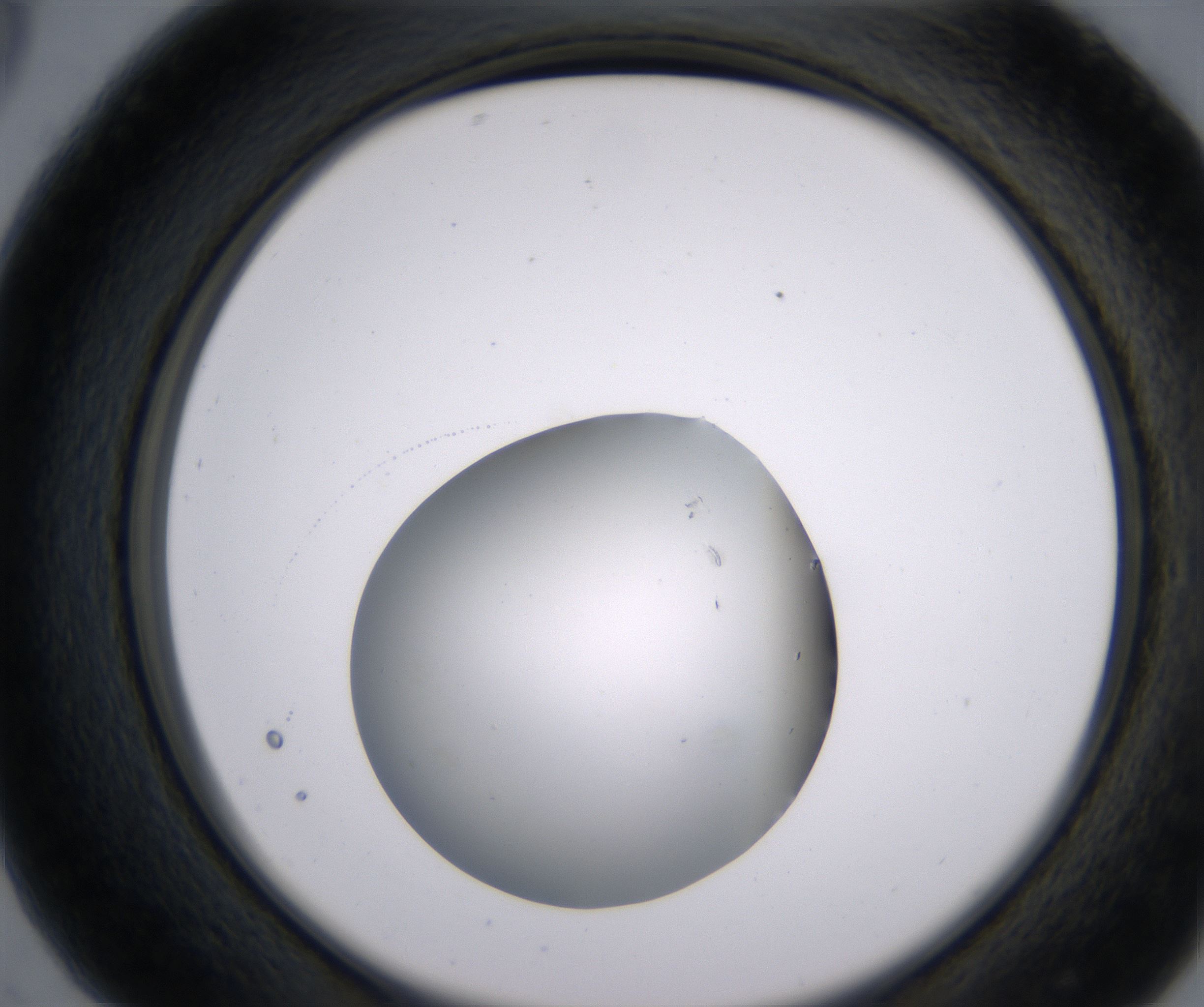 C5_HighResolution_Clear_2.jpg