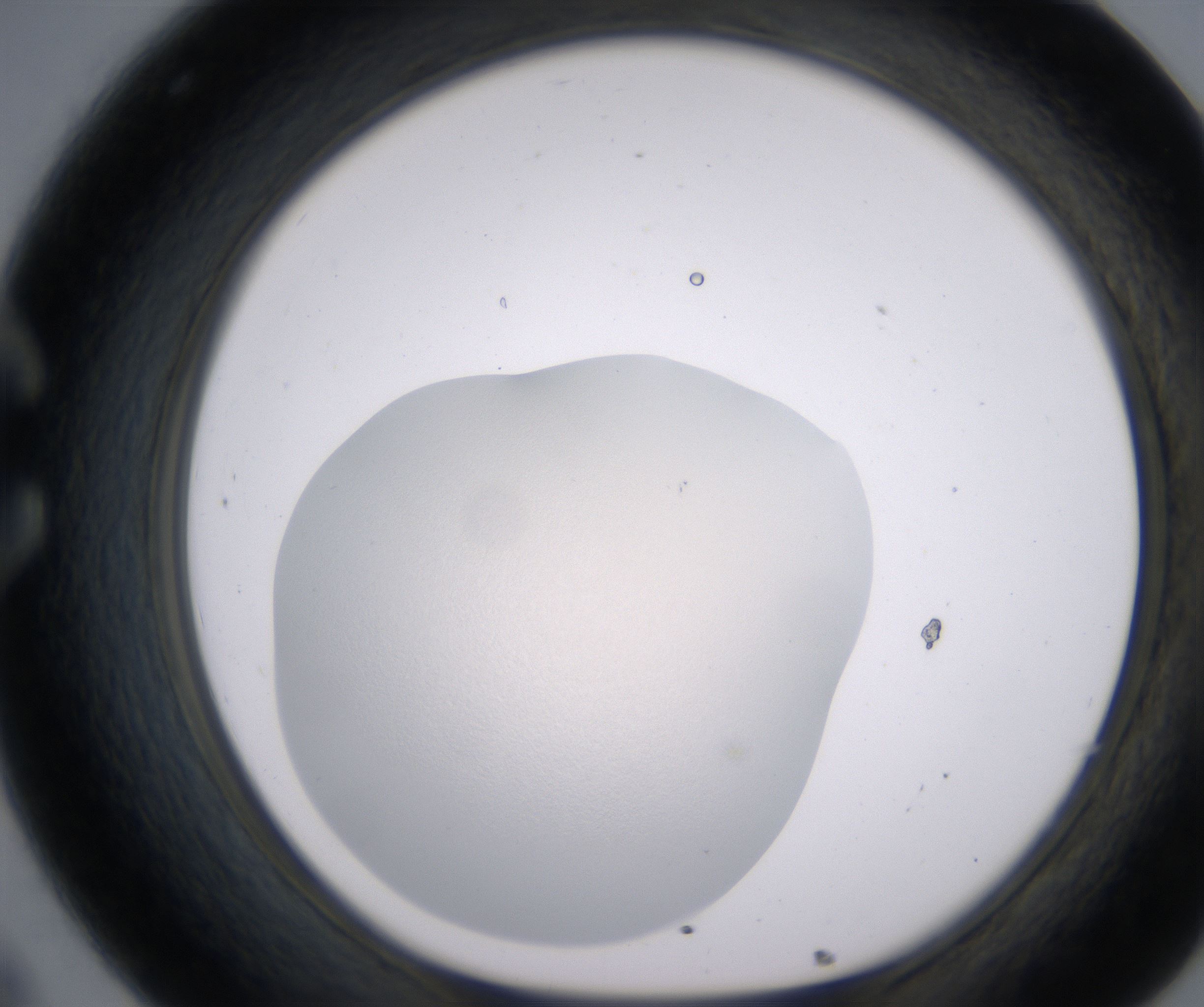 C8_HighResolution_Clear_1.jpg
