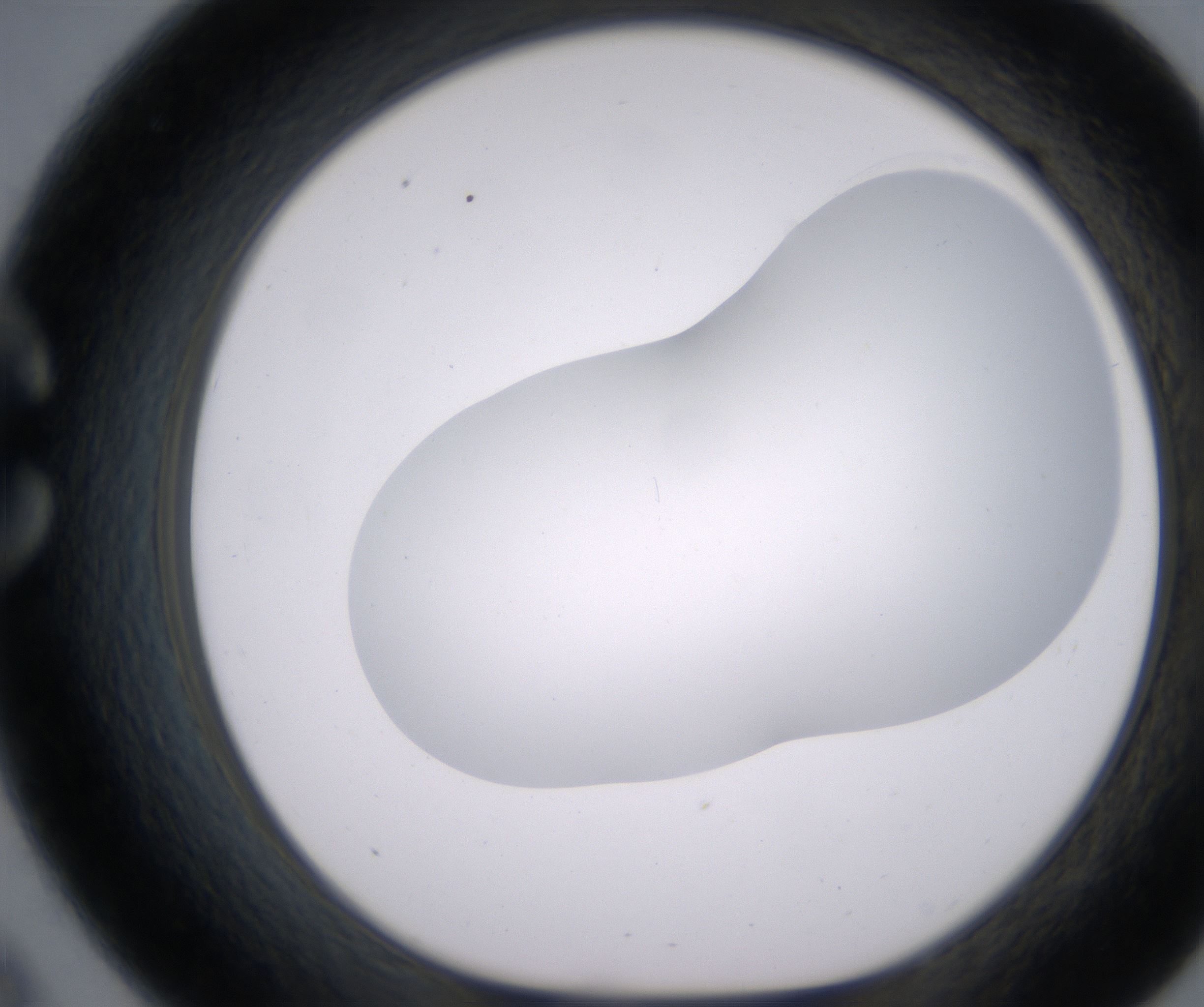 C9_HighResolution_Clear_1.jpg