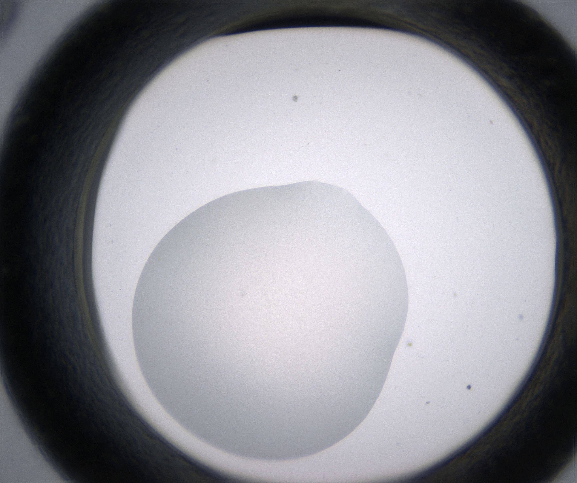 C9_HighResolution_Clear_2.jpg