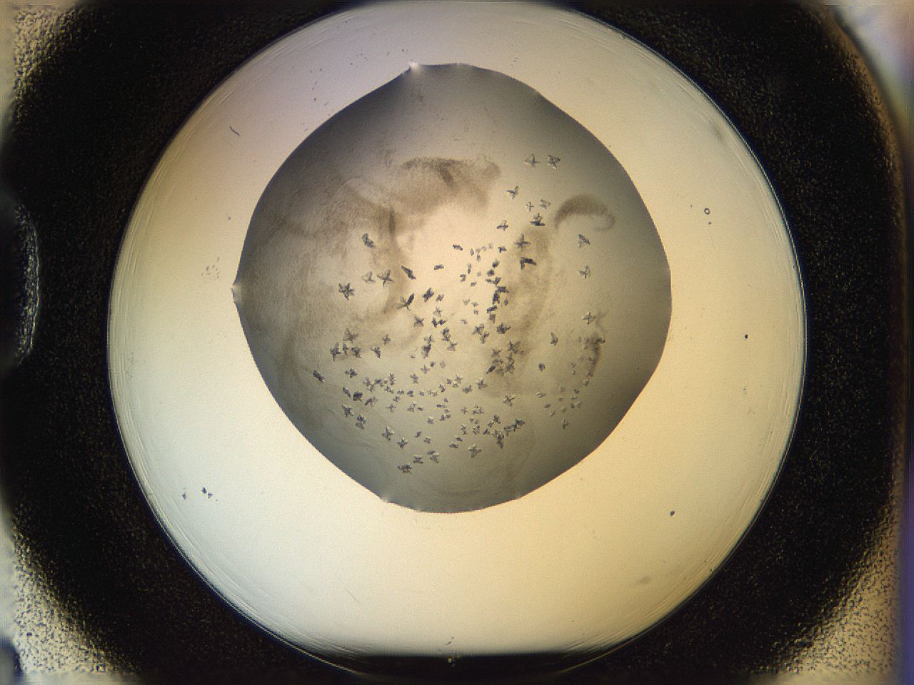 05jq_D3_ImagerDefaults_8.jpg