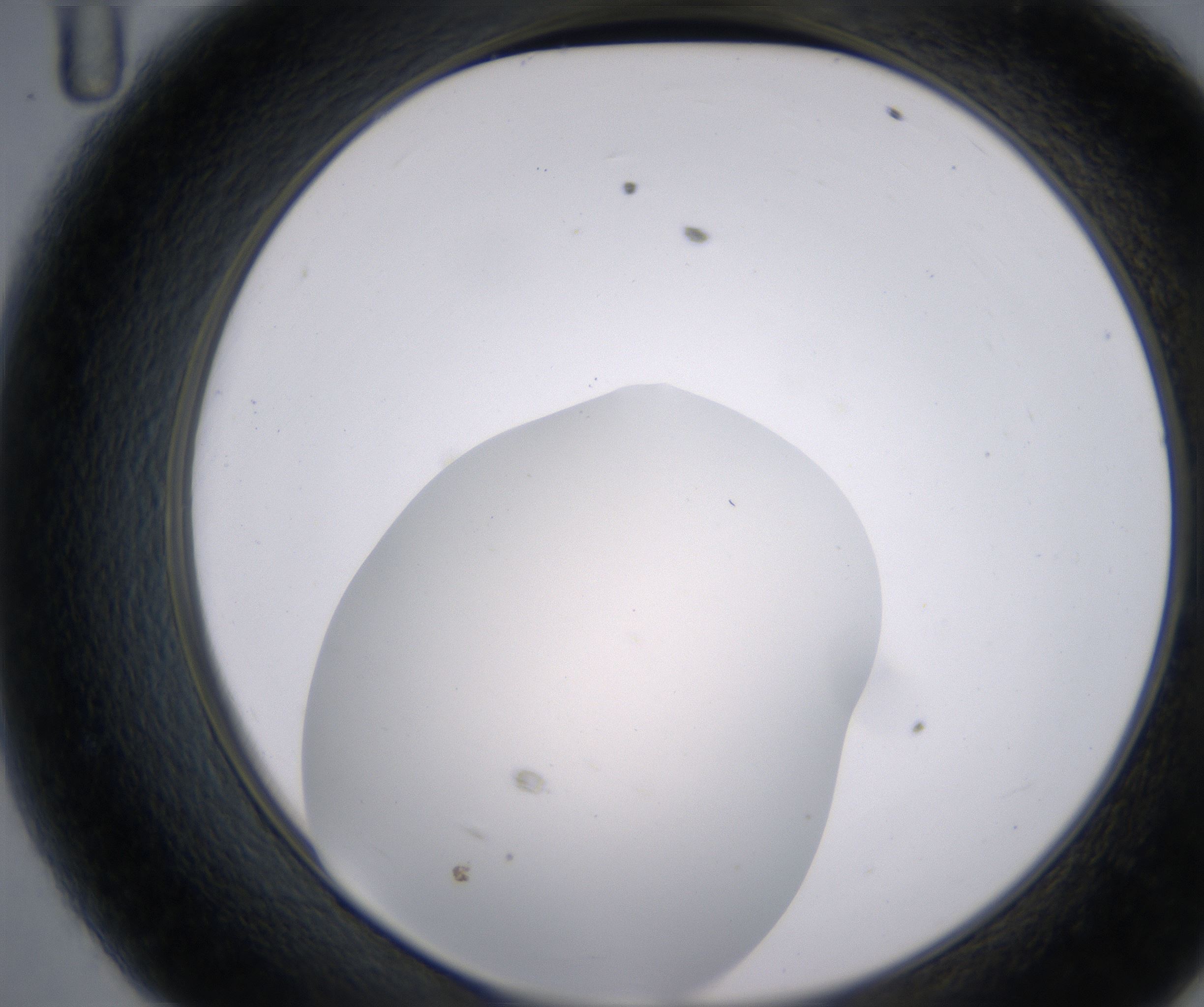 D11_HighResolution_Clear_2.jpg