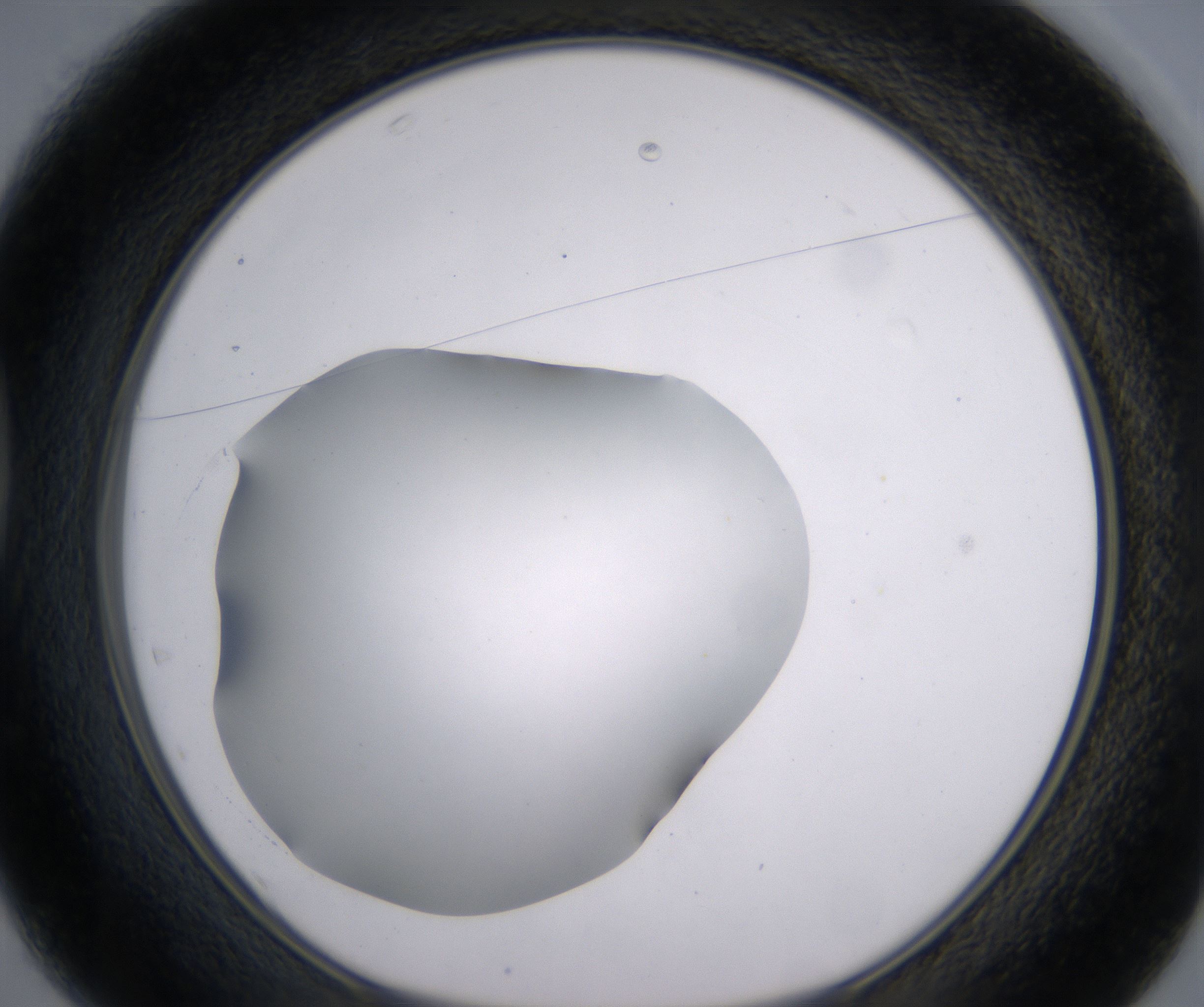 D1_HighResolution_Clear_1.jpg