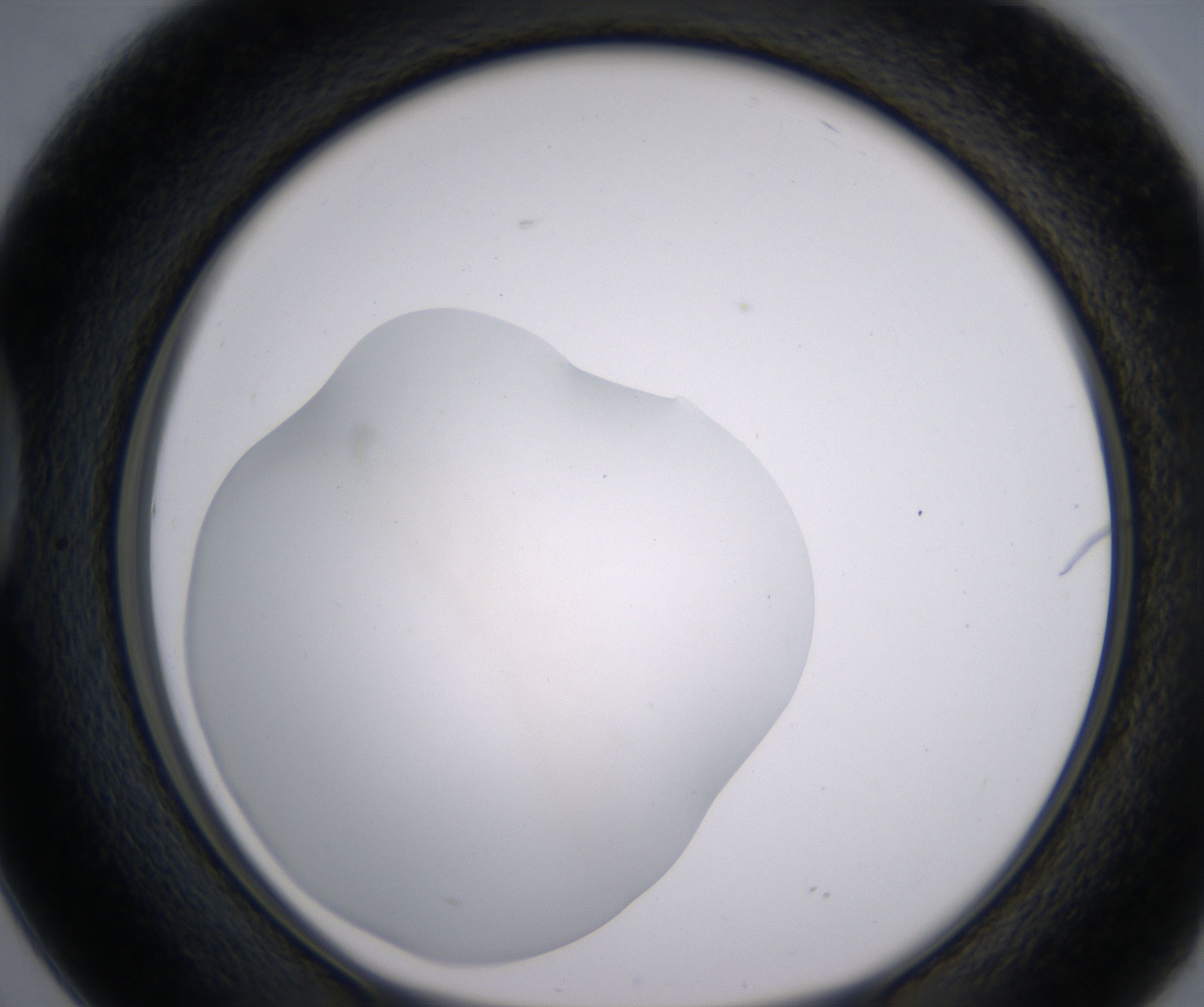 D2_HighResolution_Clear_1.jpg