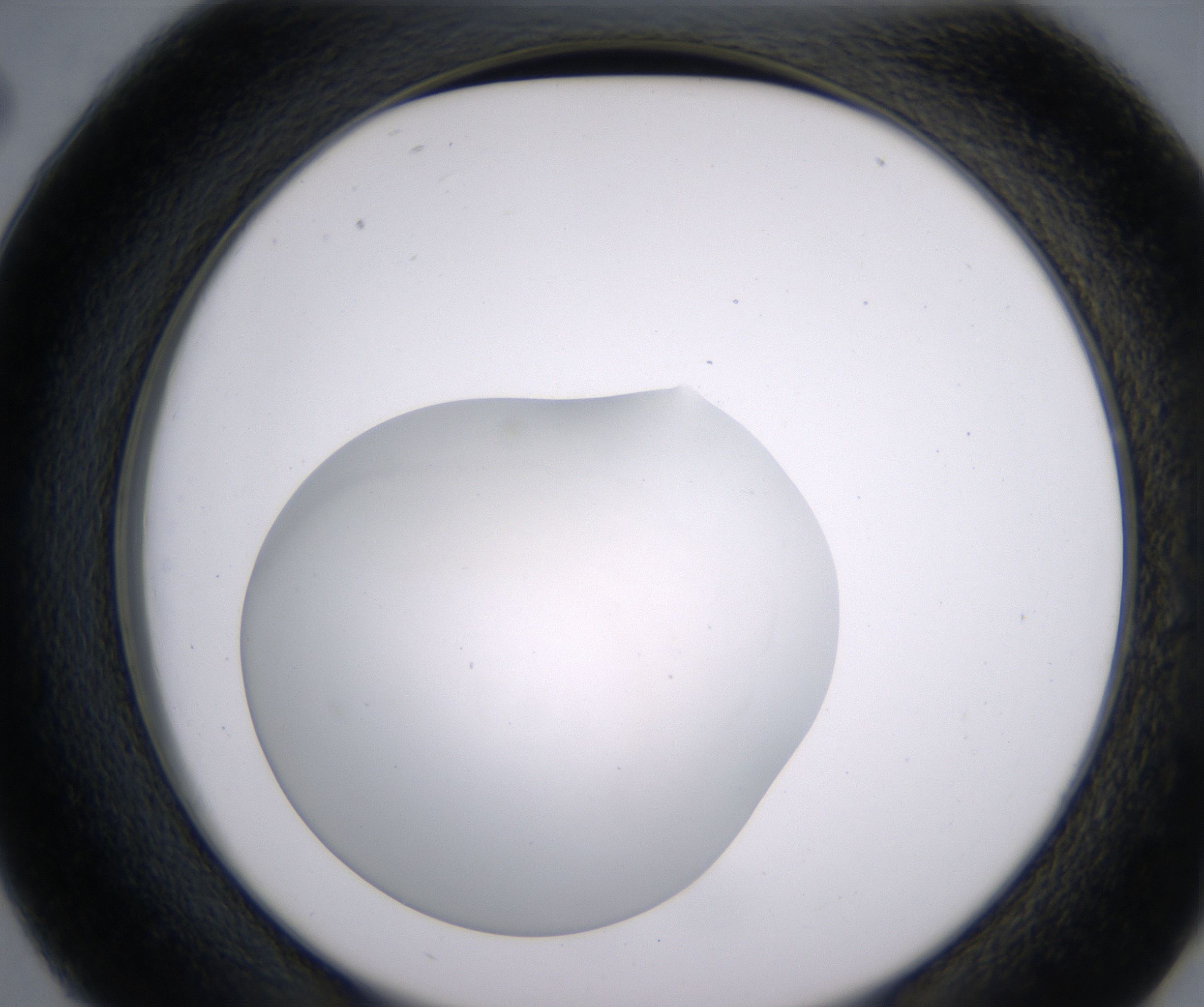 D2_HighResolution_Clear_2.jpg