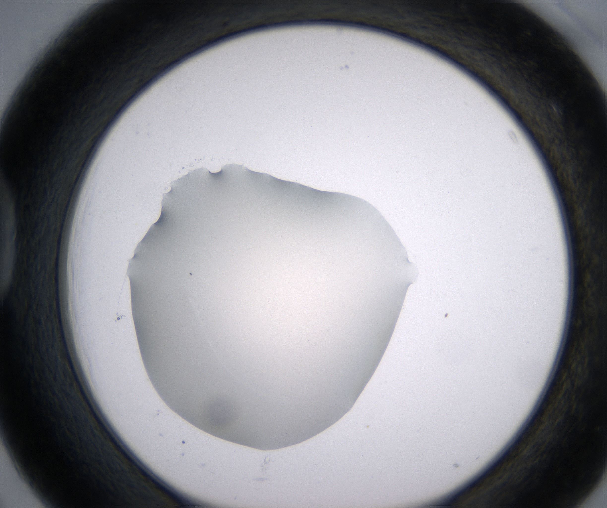 D3_HighResolution_Clear_1.jpg
