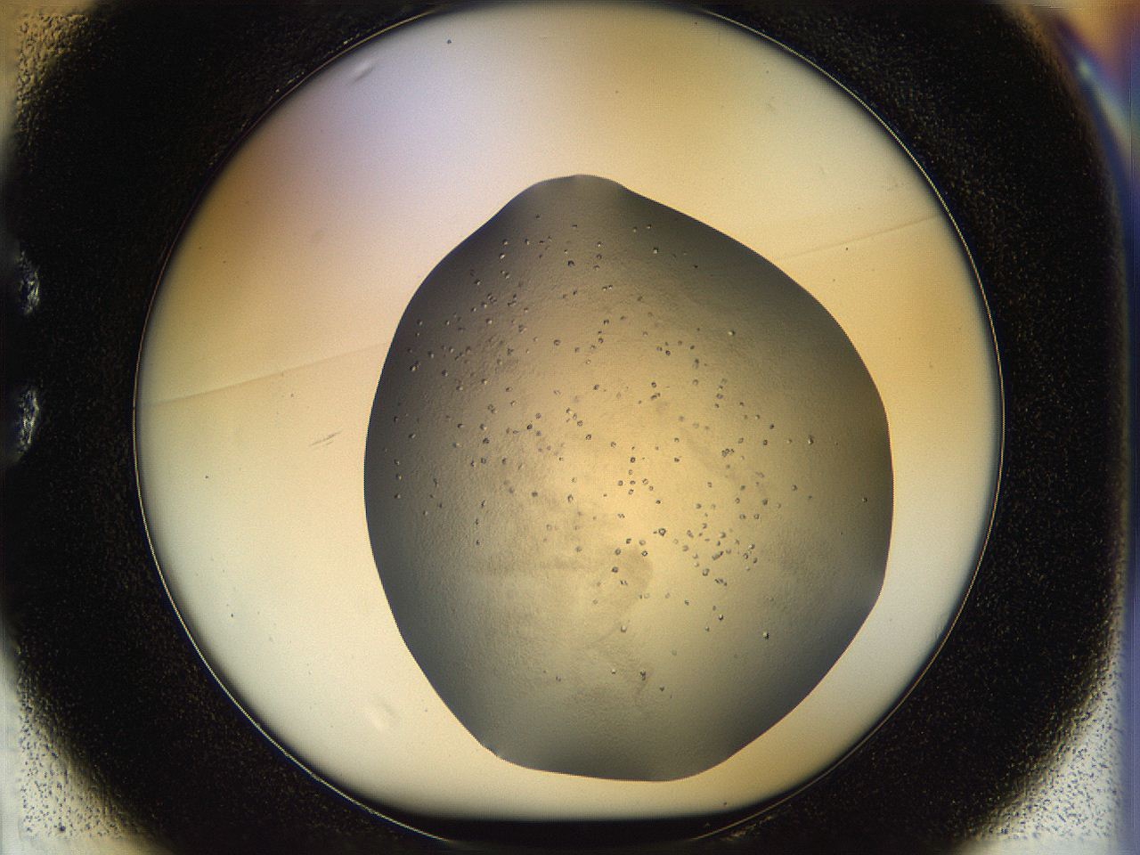 05jq_C1_ImagerDefaults_6.jpg
