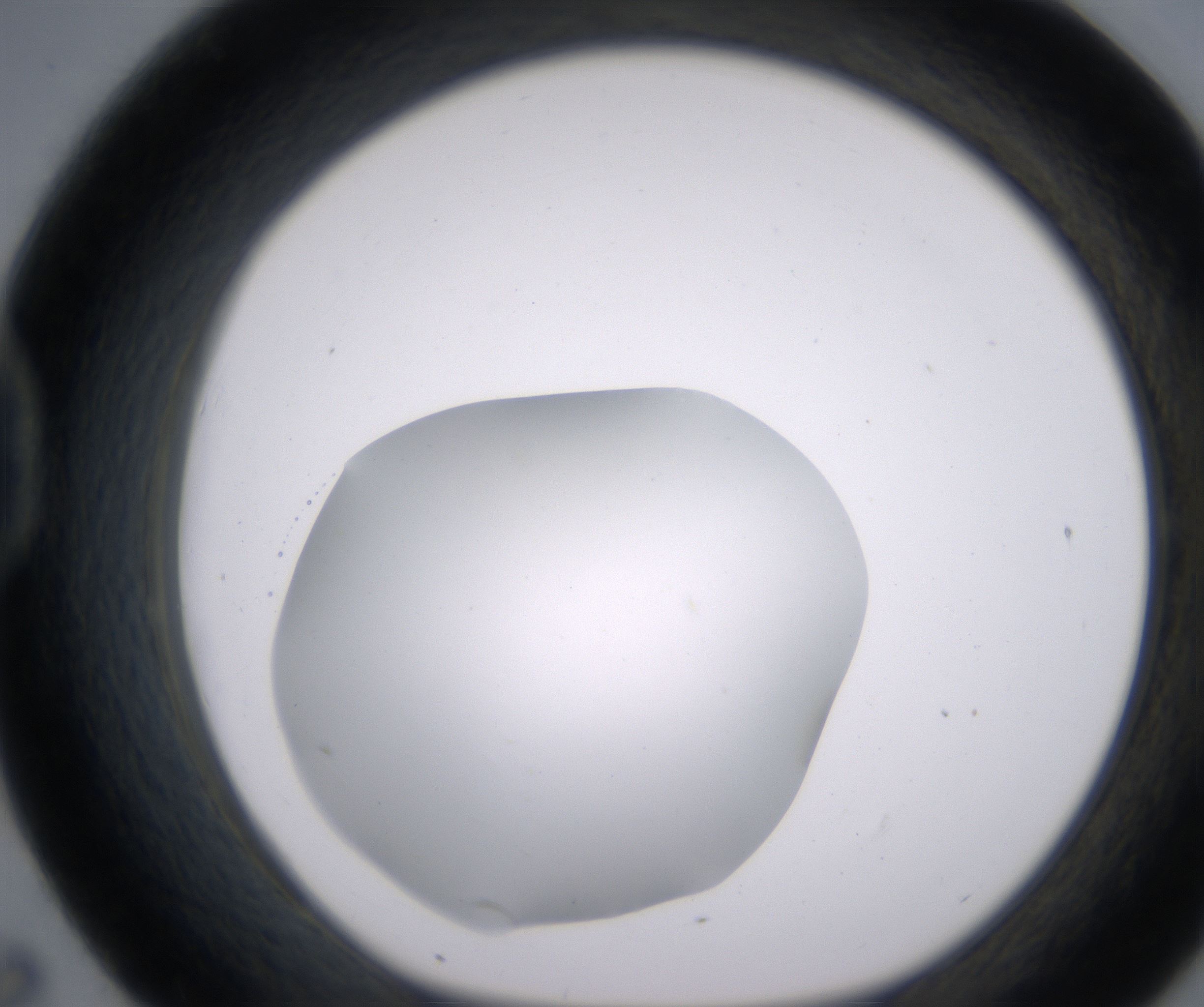 D7_HighResolution_Clear_1.jpg