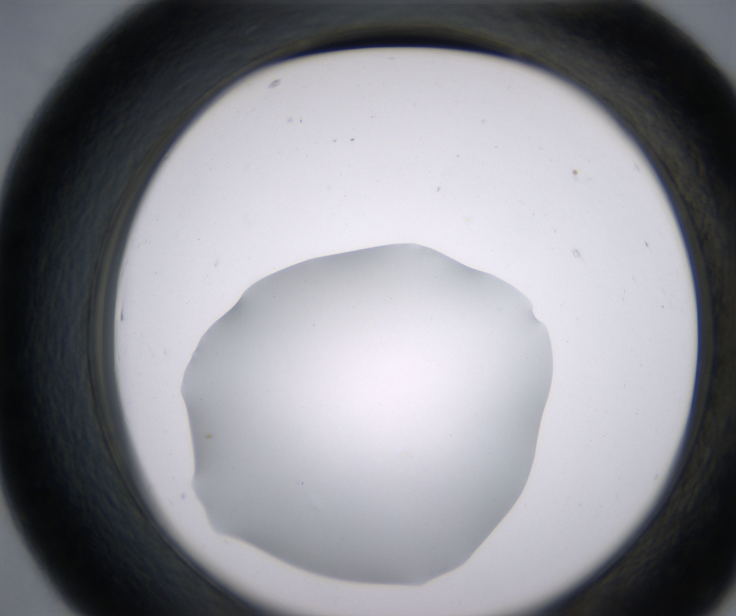 D7_HighResolution_Clear_2.jpg