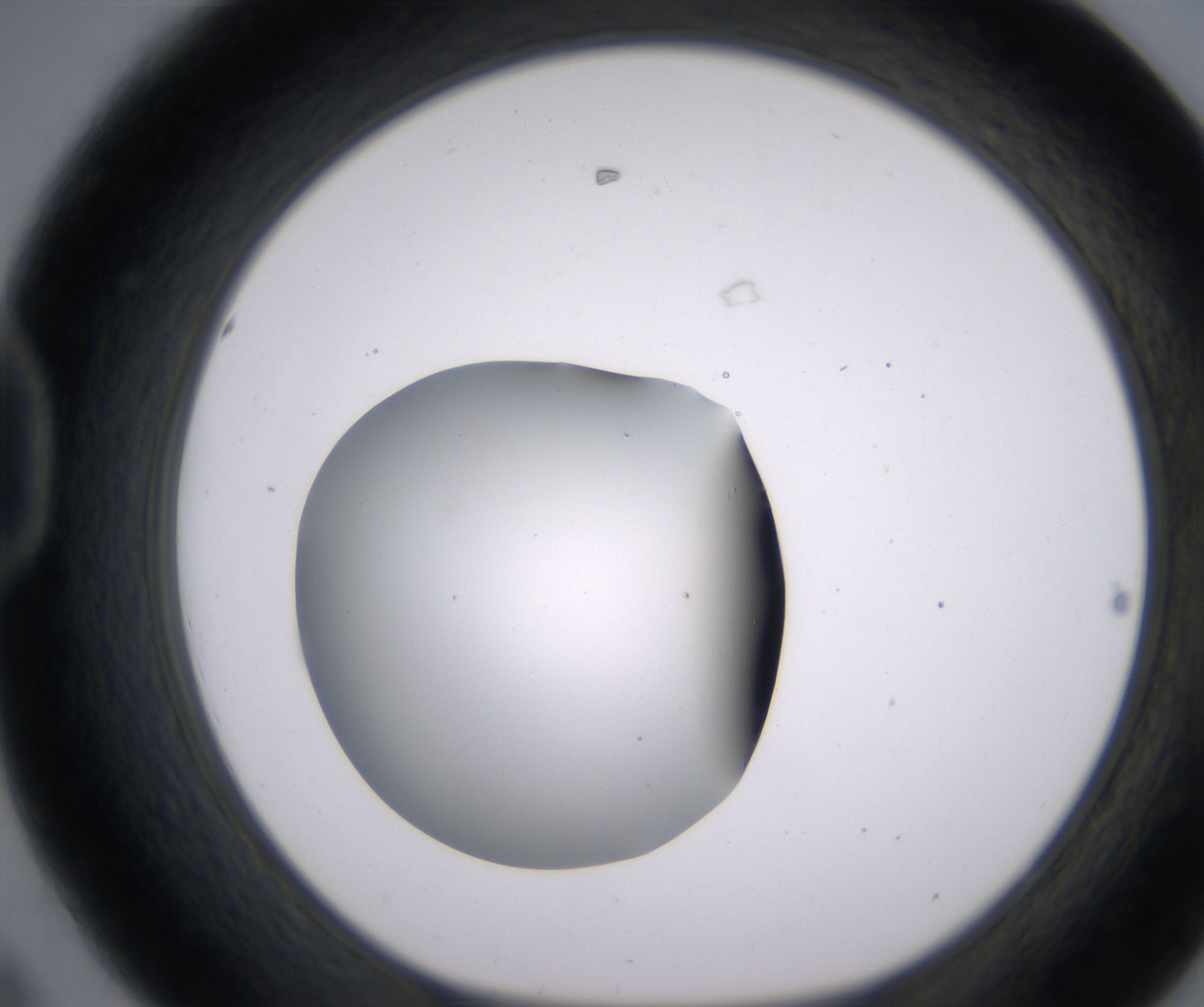 D8_HighResolution_Clear_1.jpg