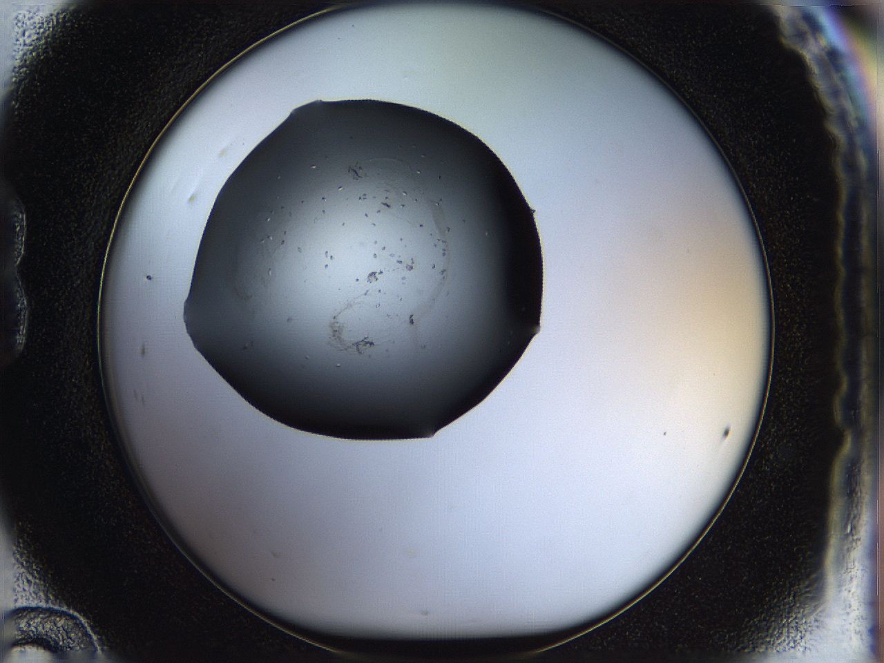 05jq_B12_ImagerDefaults_6.jpg