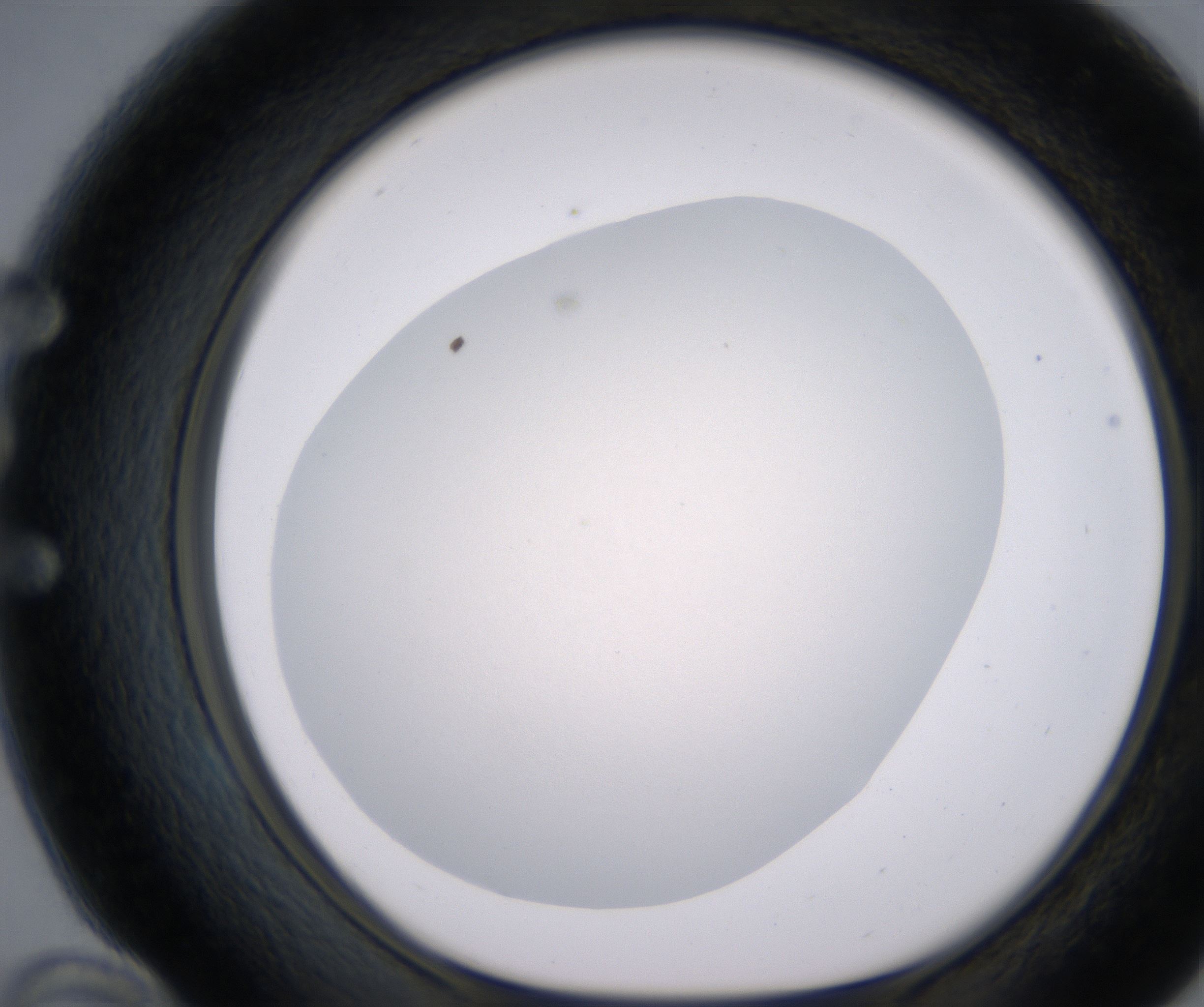 E10_HighResolution_Clear_1.jpg