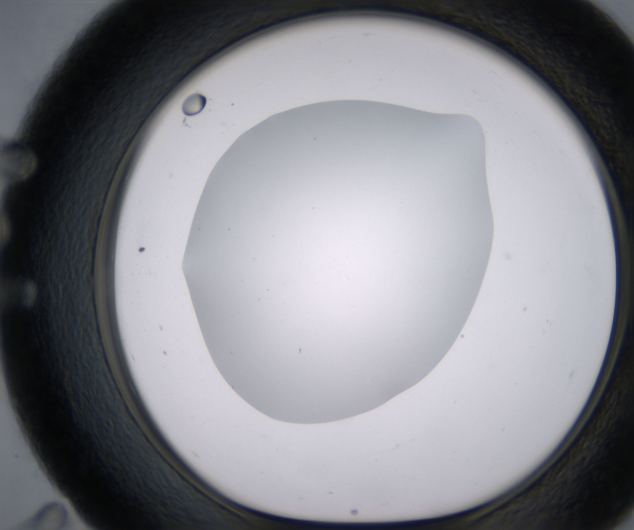 E11_HighResolution_Clear_1.jpg