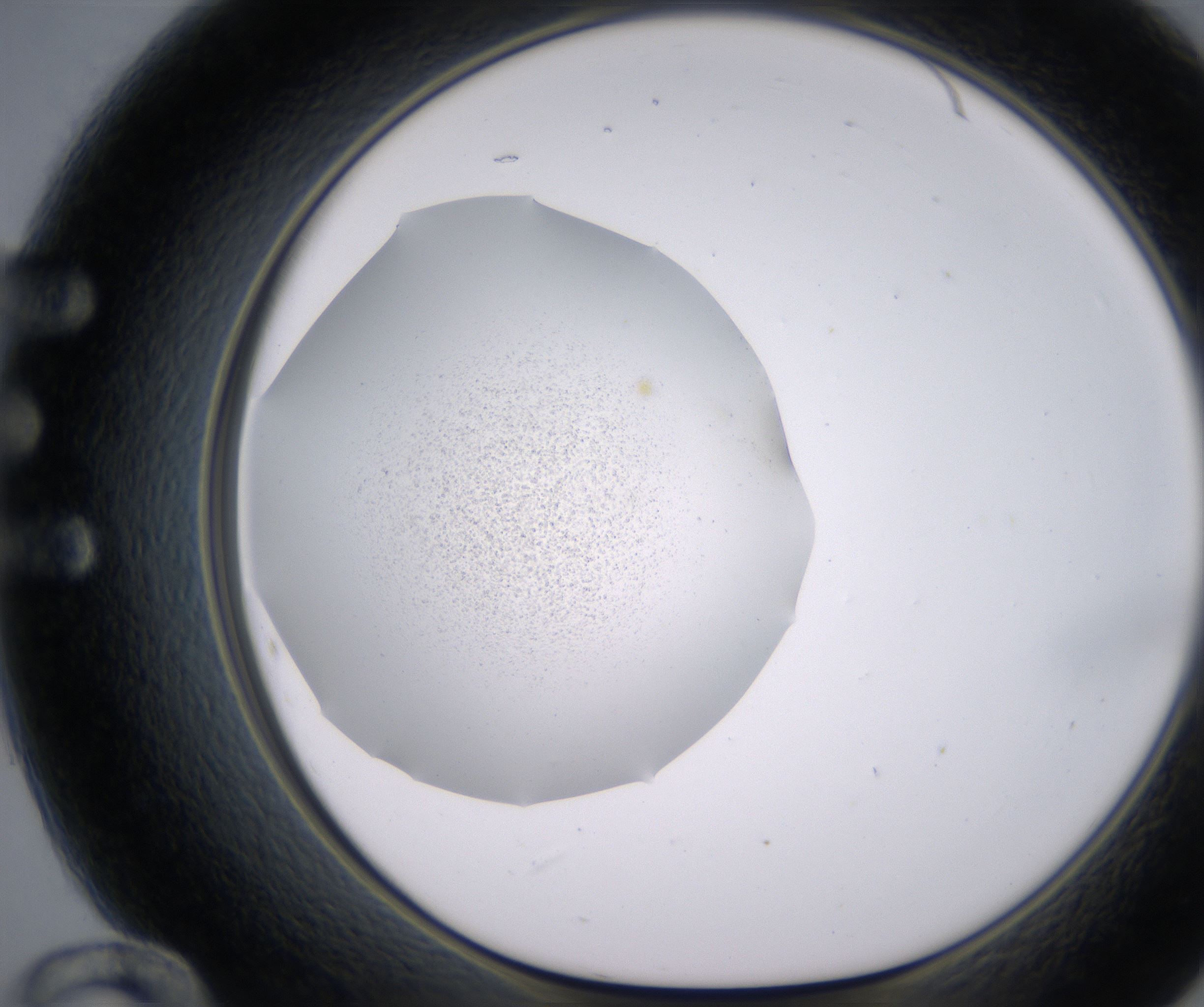 E12_HighResolution_Precipitate_1.jpg
