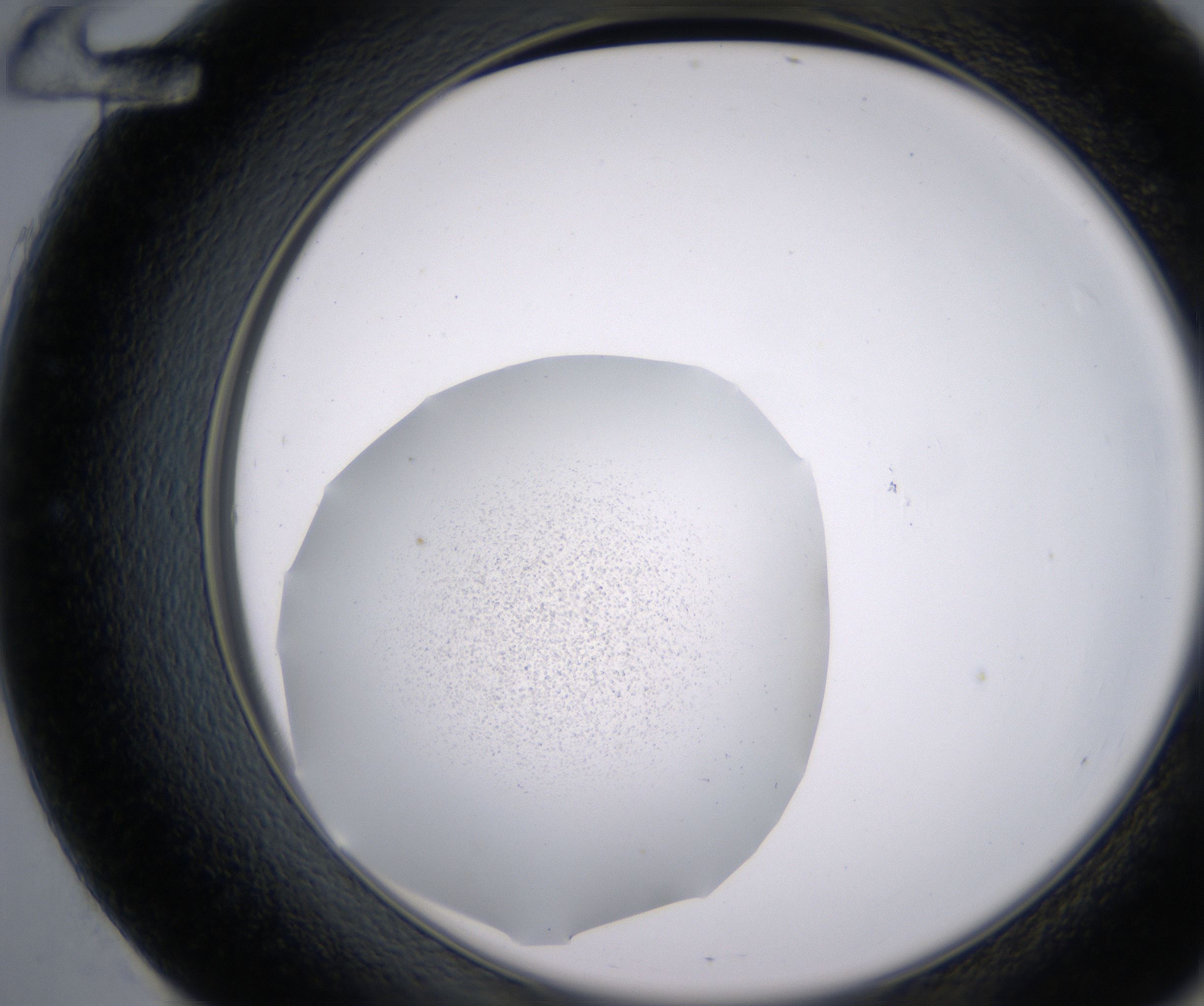E12_HighResolution_Precipitate_2.jpg