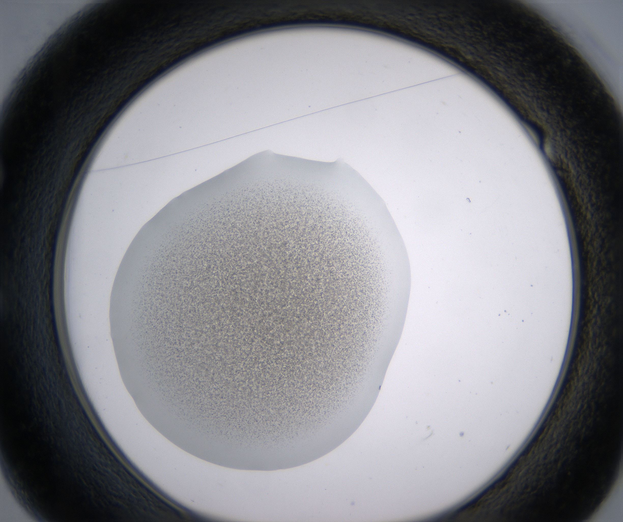 E1_HighResolution_Precipitate_1.jpg