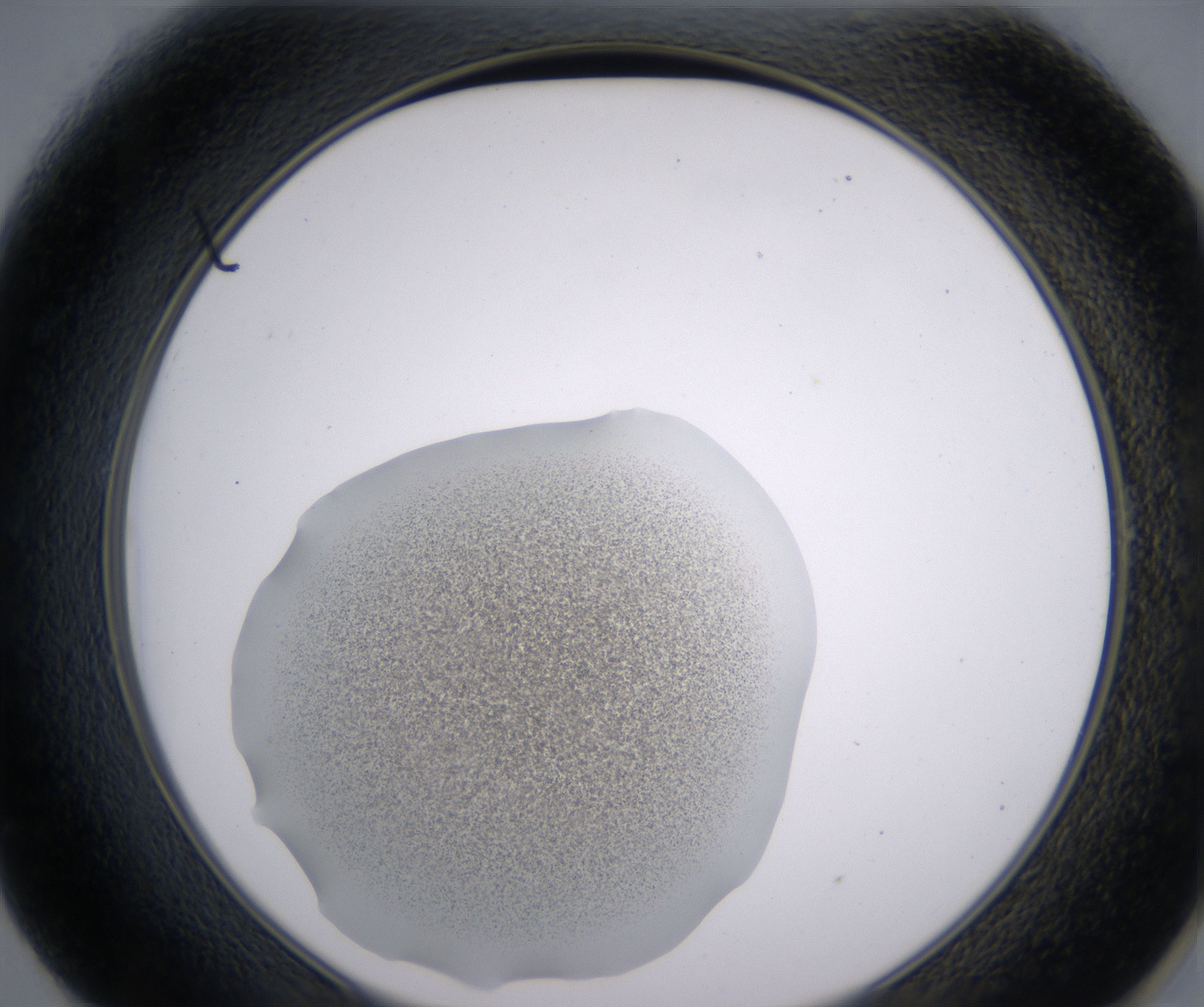 E1_HighResolution_Precipitate_2.jpg